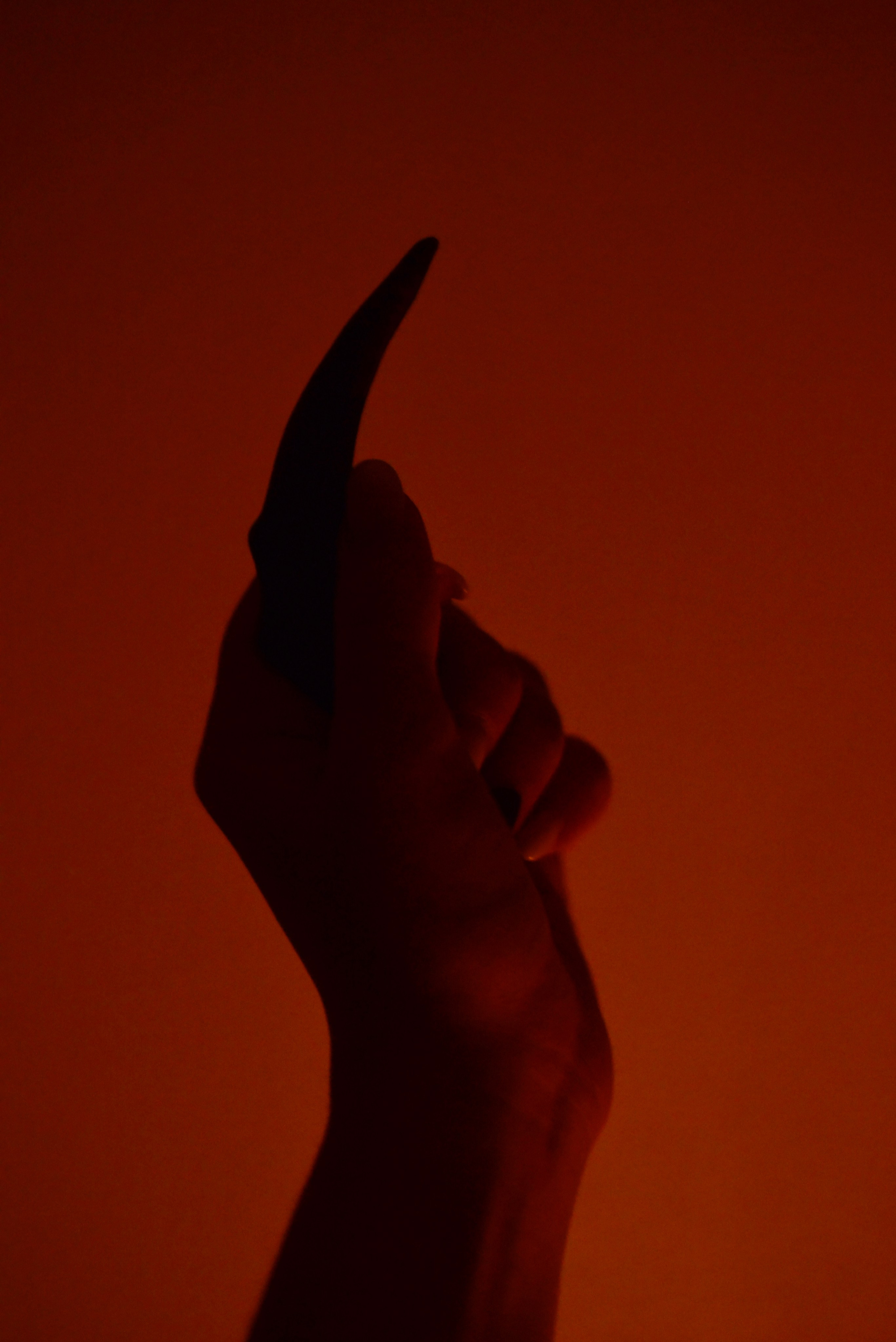 Скрытая иллюминация. Катрин Эдельвак