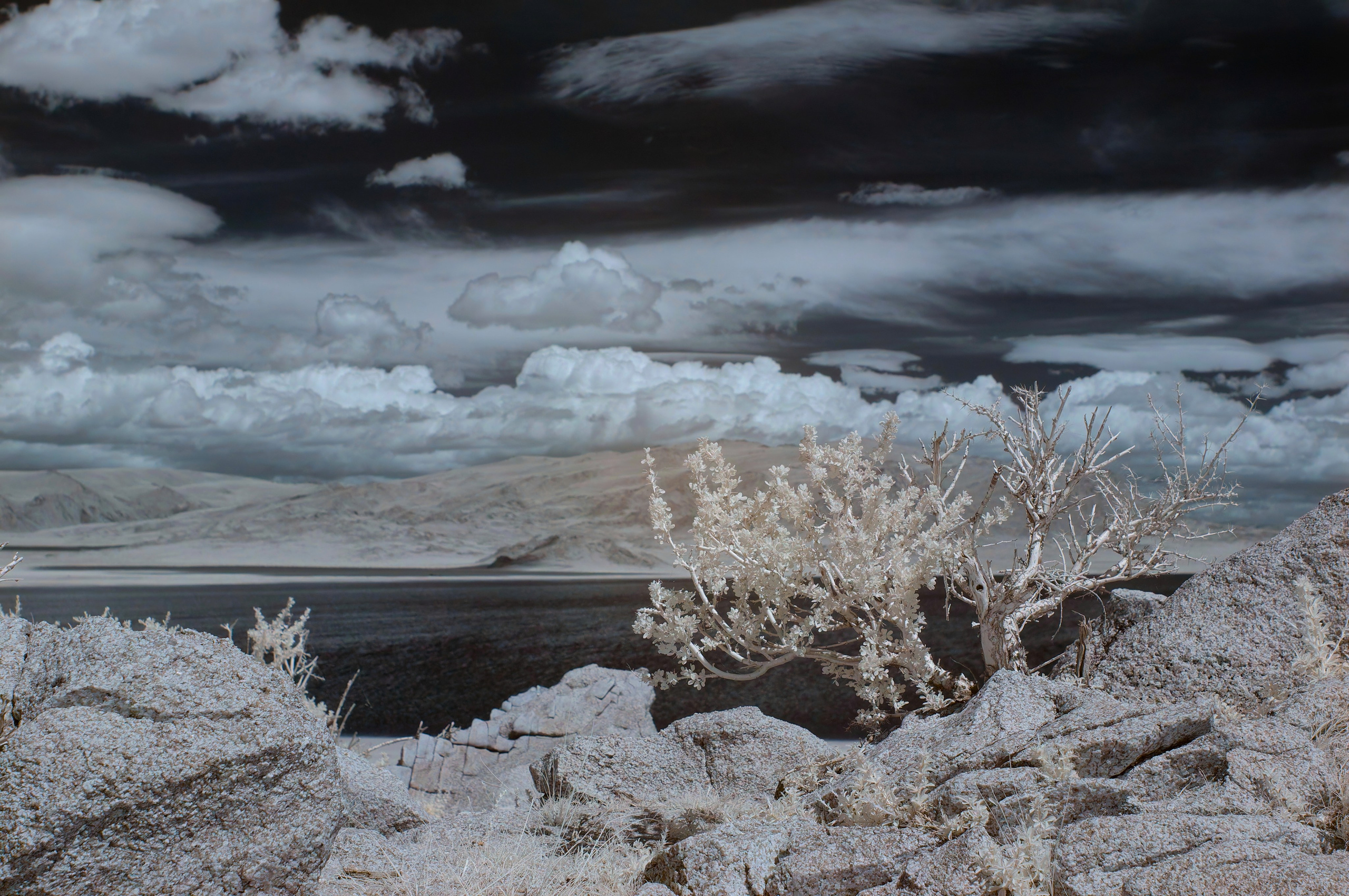 Экспедиция в Монголию (котловина больших озер). Семоха Валерий. Фотограф