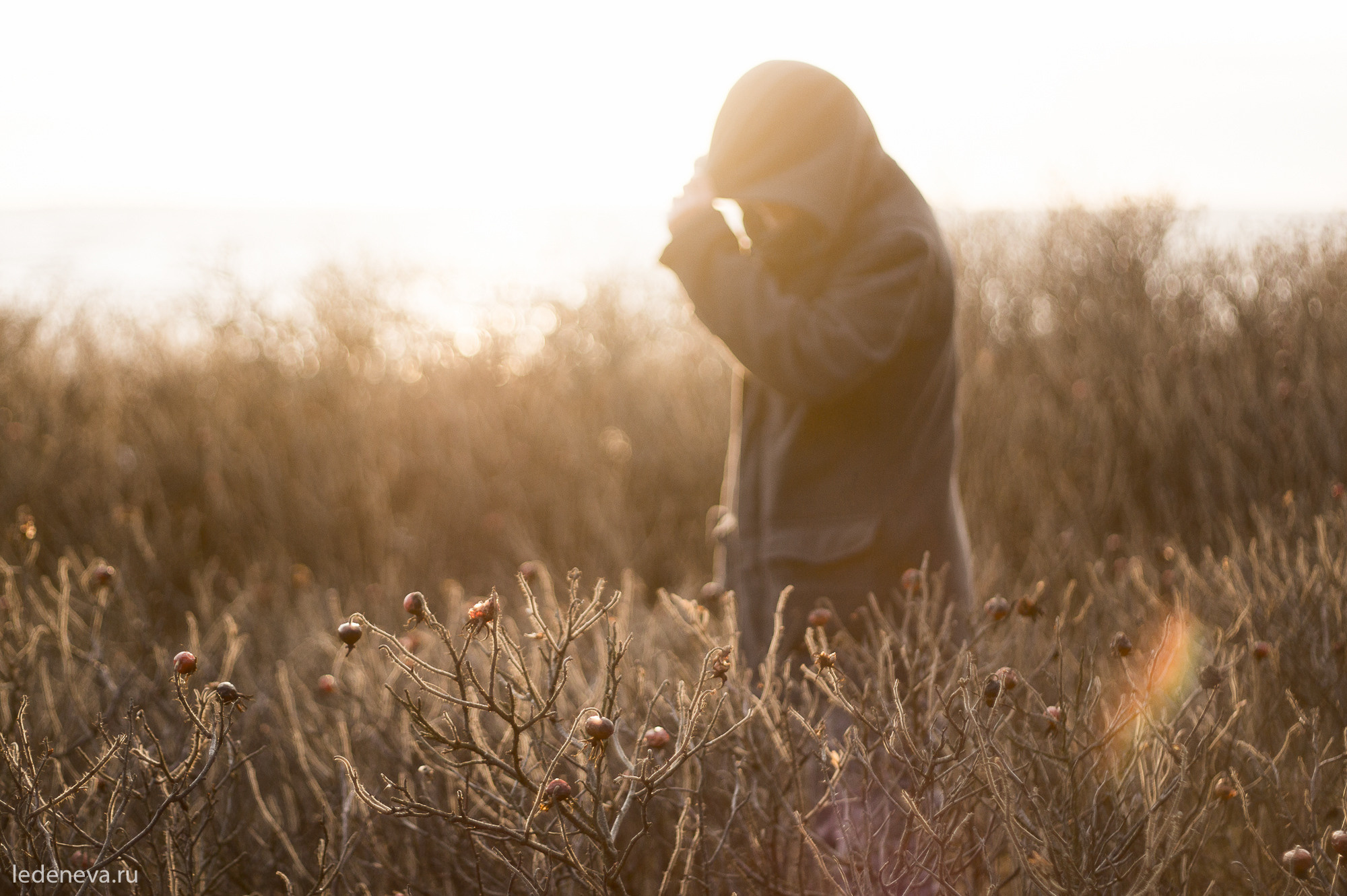 арт резиденция, санкт петербург, тарховка, фотохудожник, творческая фотография, анна леденева, арт проект