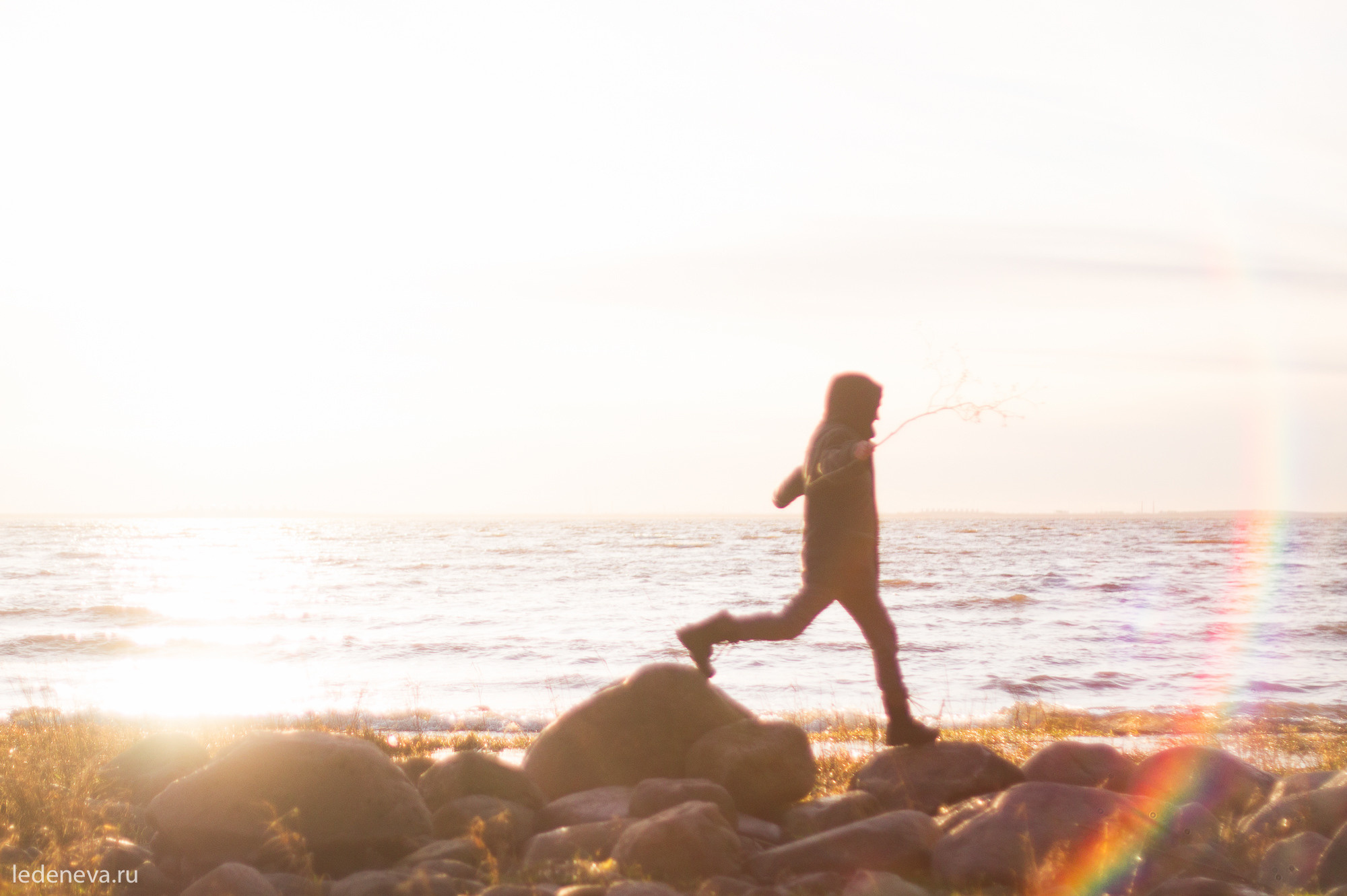 арт резиденция, санкт петербург, тарховка, фотохудожник, творческая фотография, анна леденева, арт проект