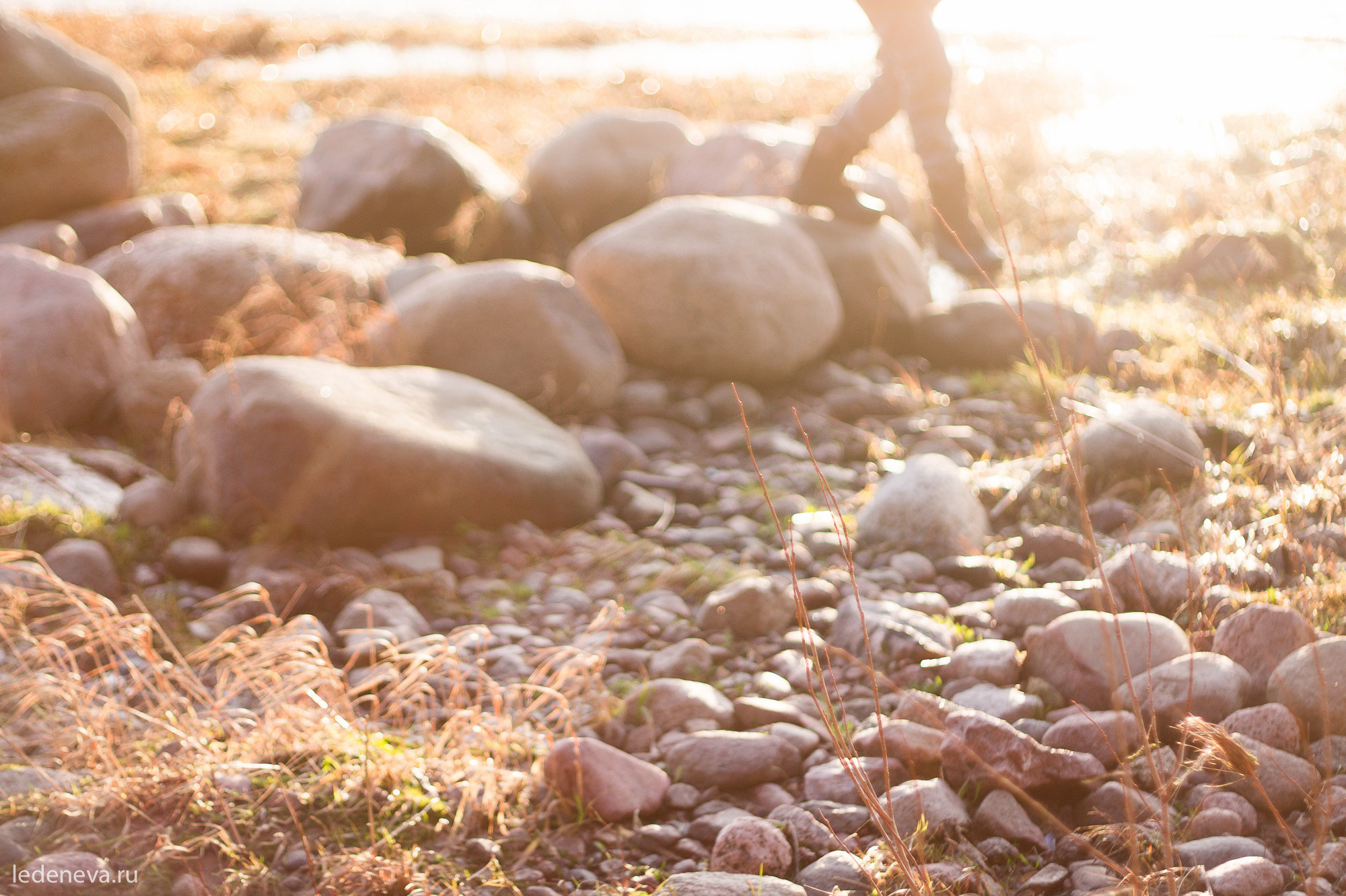 арт резиденция, санкт петербург, тарховка, фотохудожник, творческая фотография, анна леденева, арт проект