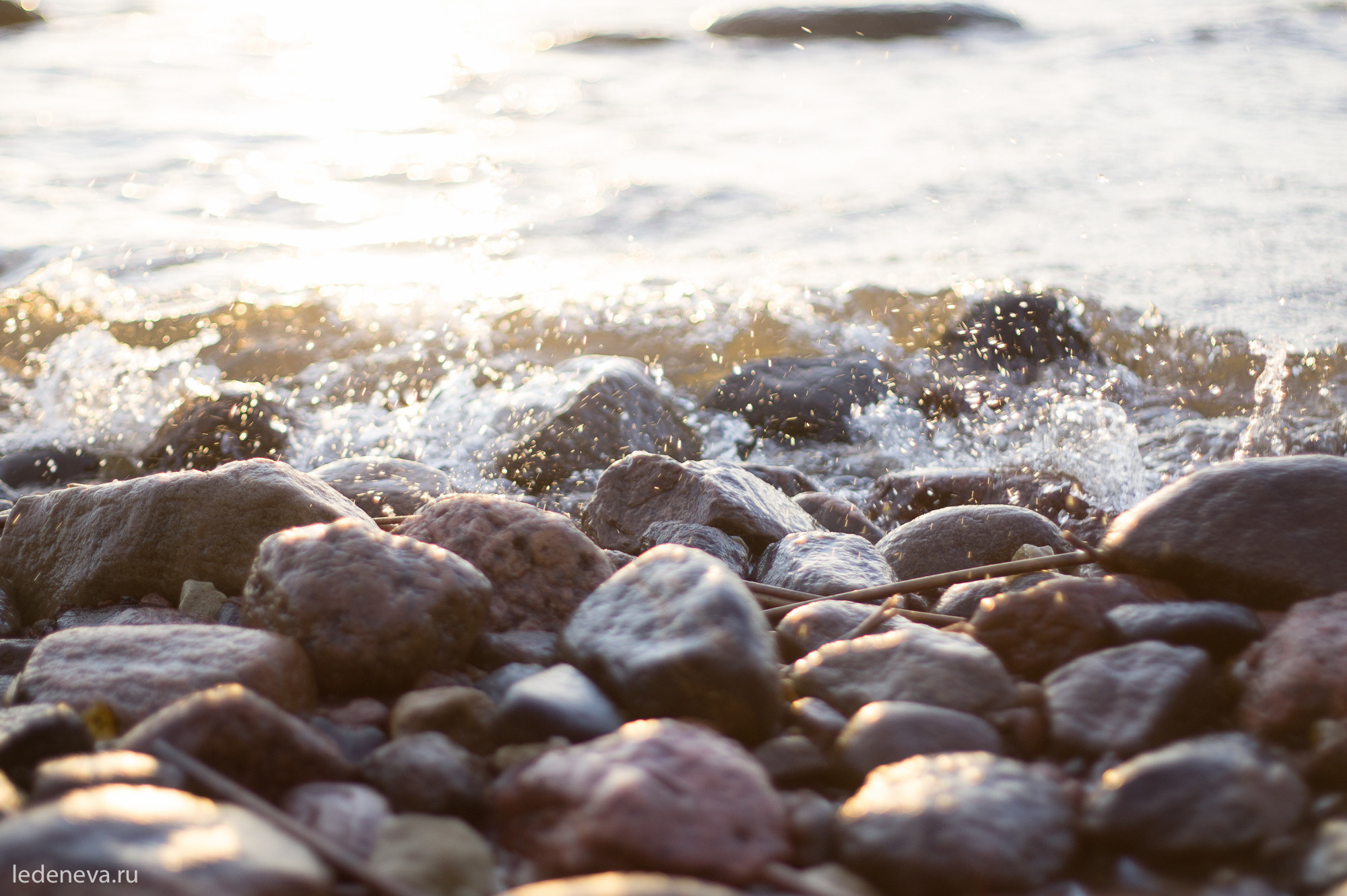 арт резиденция, санкт петербург, тарховка, фотохудожник, творческая фотография, анна леденева, арт проект