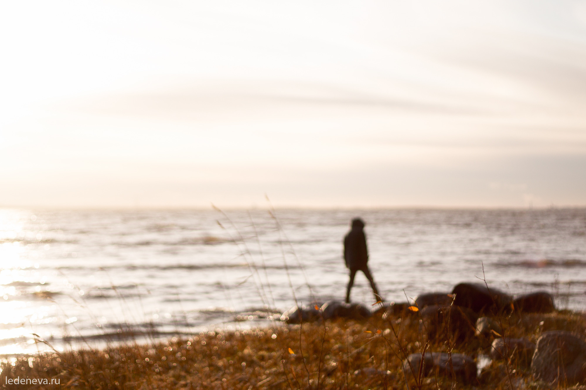 арт резиденция, санкт петербург, тарховка, фотохудожник, творческая фотография, анна леденева, арт проект