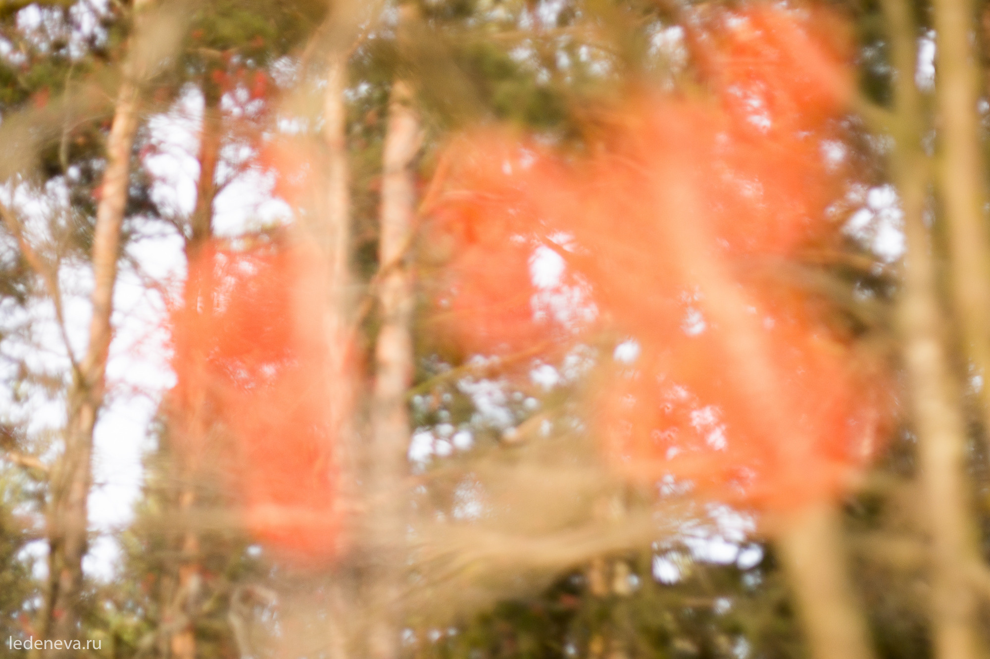 арт резиденция, санкт петербург, тарховка, фотохудожник, творческая фотография, анна леденева, арт проектарт резиденция, санкт петербург, тарховка, фотохудожник, творческая фотография, анна леденева, арт проект
