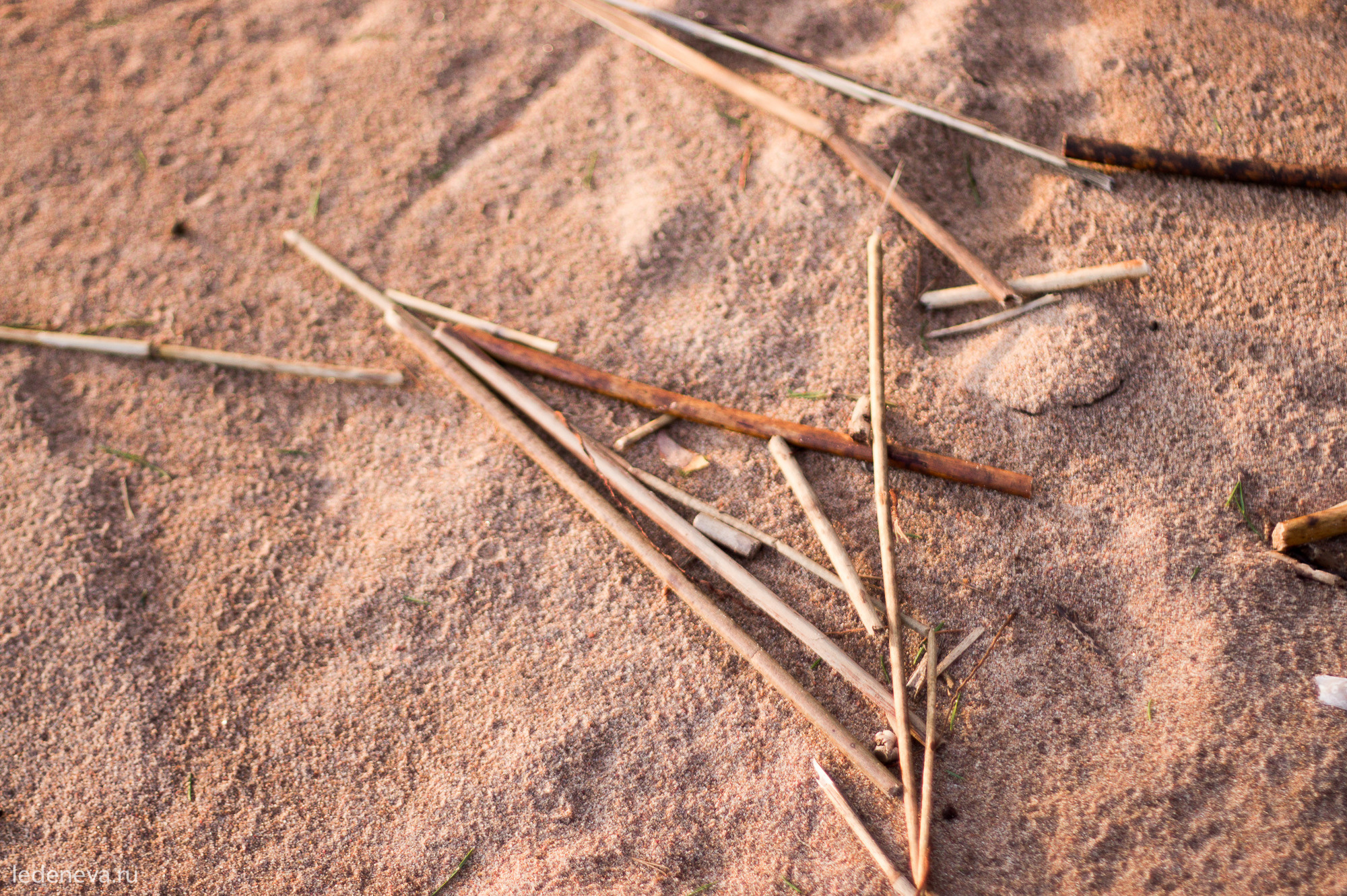 арт резиденция, санкт петербург, тарховка, фотохудожник, творческая фотография, анна леденева, арт проект