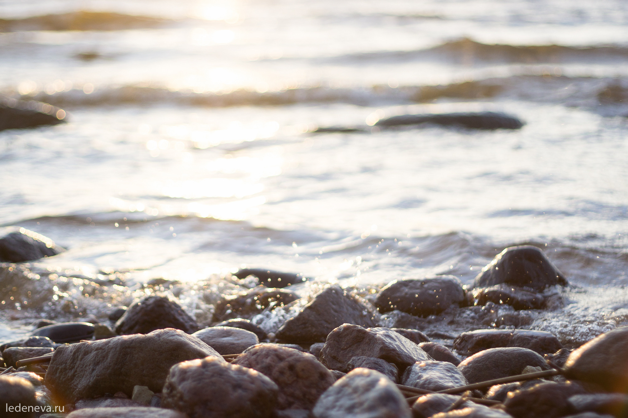 арт резиденция, санкт петербург, тарховка, фотохудожник, творческая фотография, анна леденева, арт проект