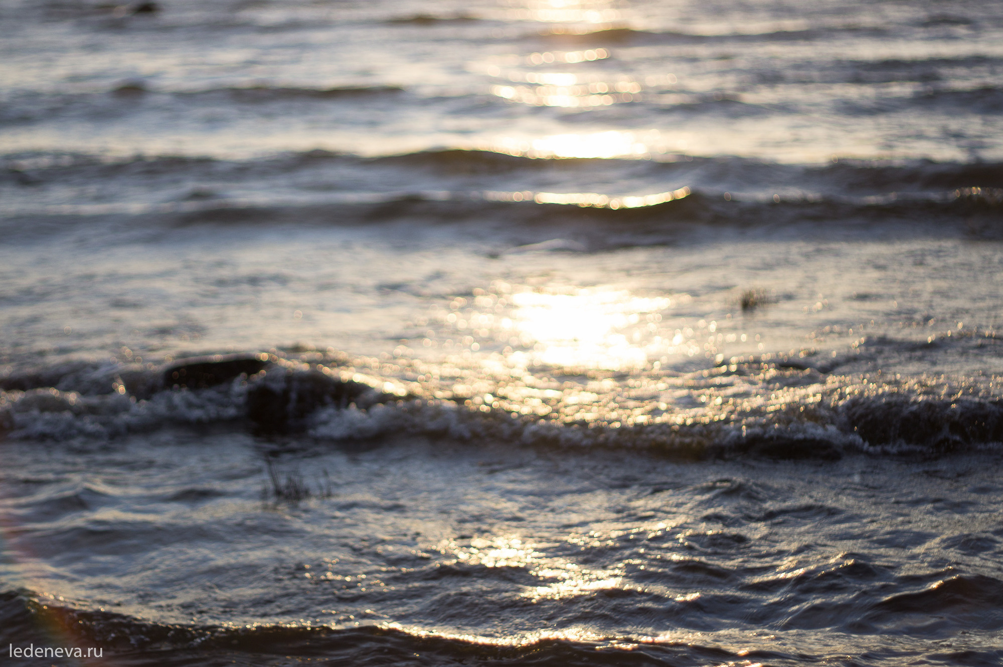 арт резиденция, санкт петербург, тарховка, фотохудожник, творческая фотография, анна леденева, арт проект