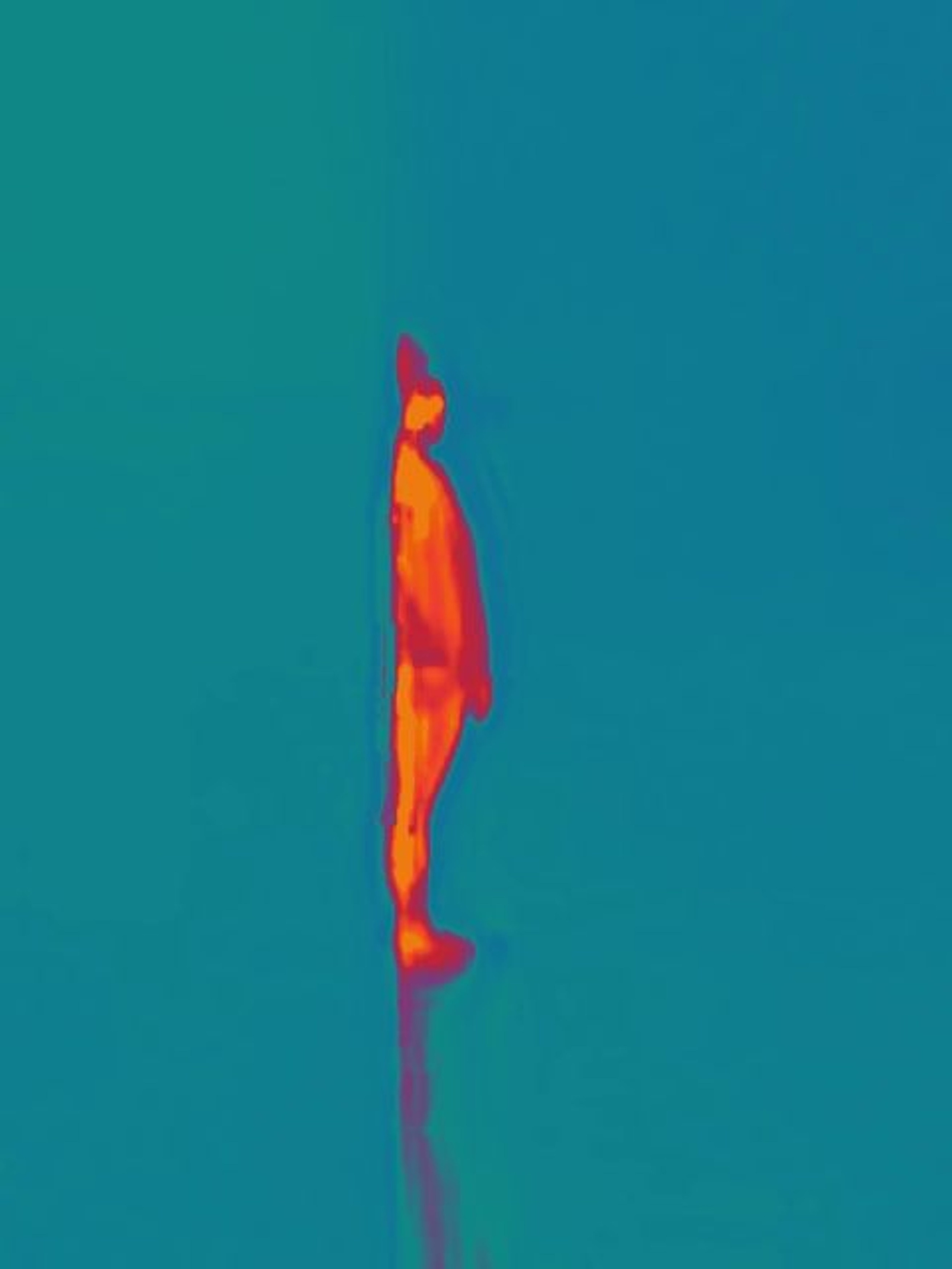 Red Heat. Igor Tereshkov