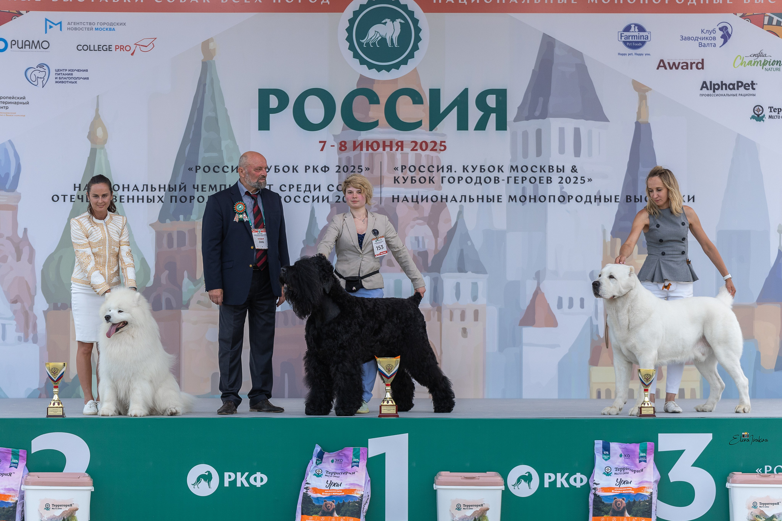 Россия 2025. Купить щенка Вельш-корги-кардиган в семейном питомнике — Ice Fantasy