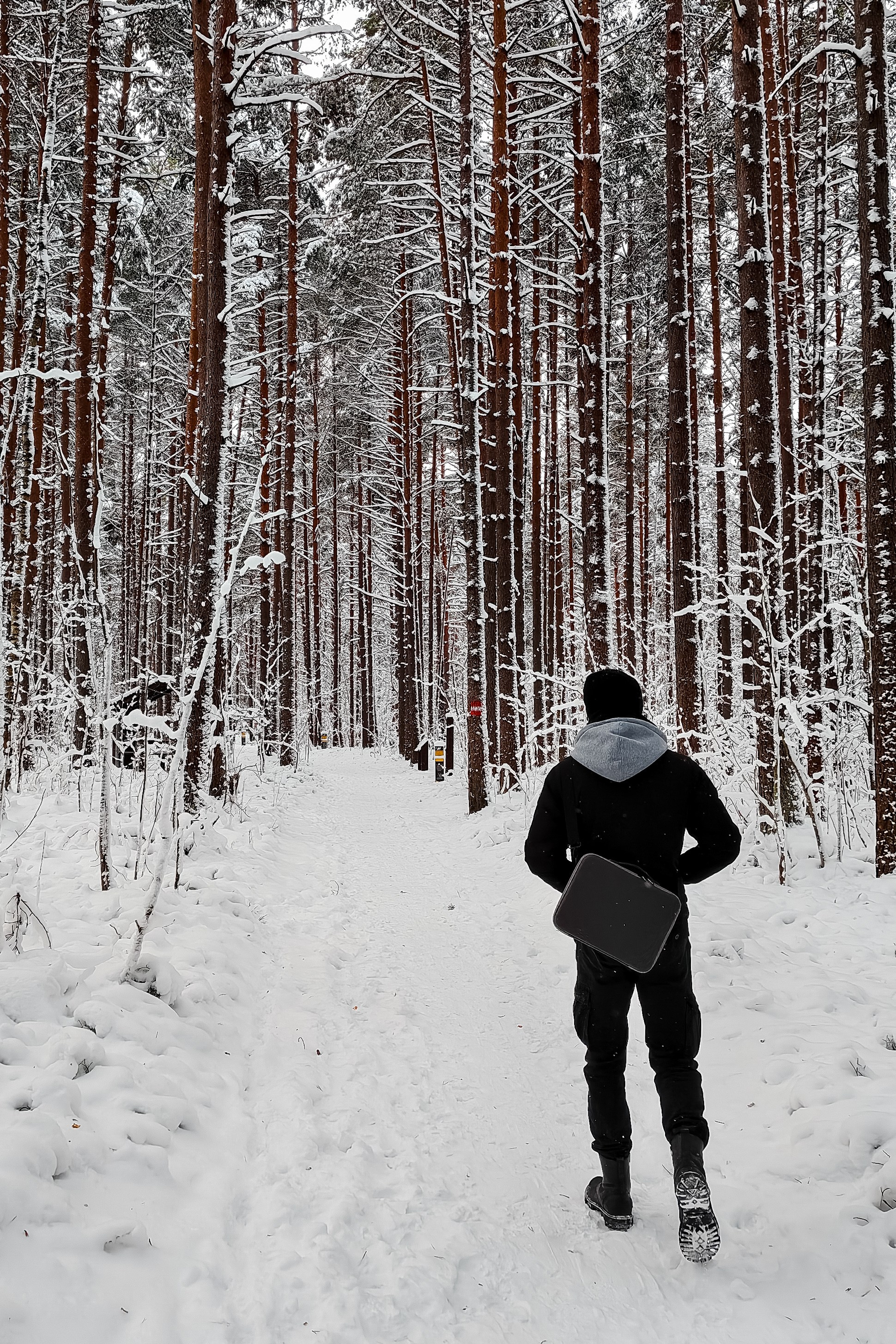 Новогодняя поездка в Санкт-Петербург. Павел Шарапов | Фотограф | Москва