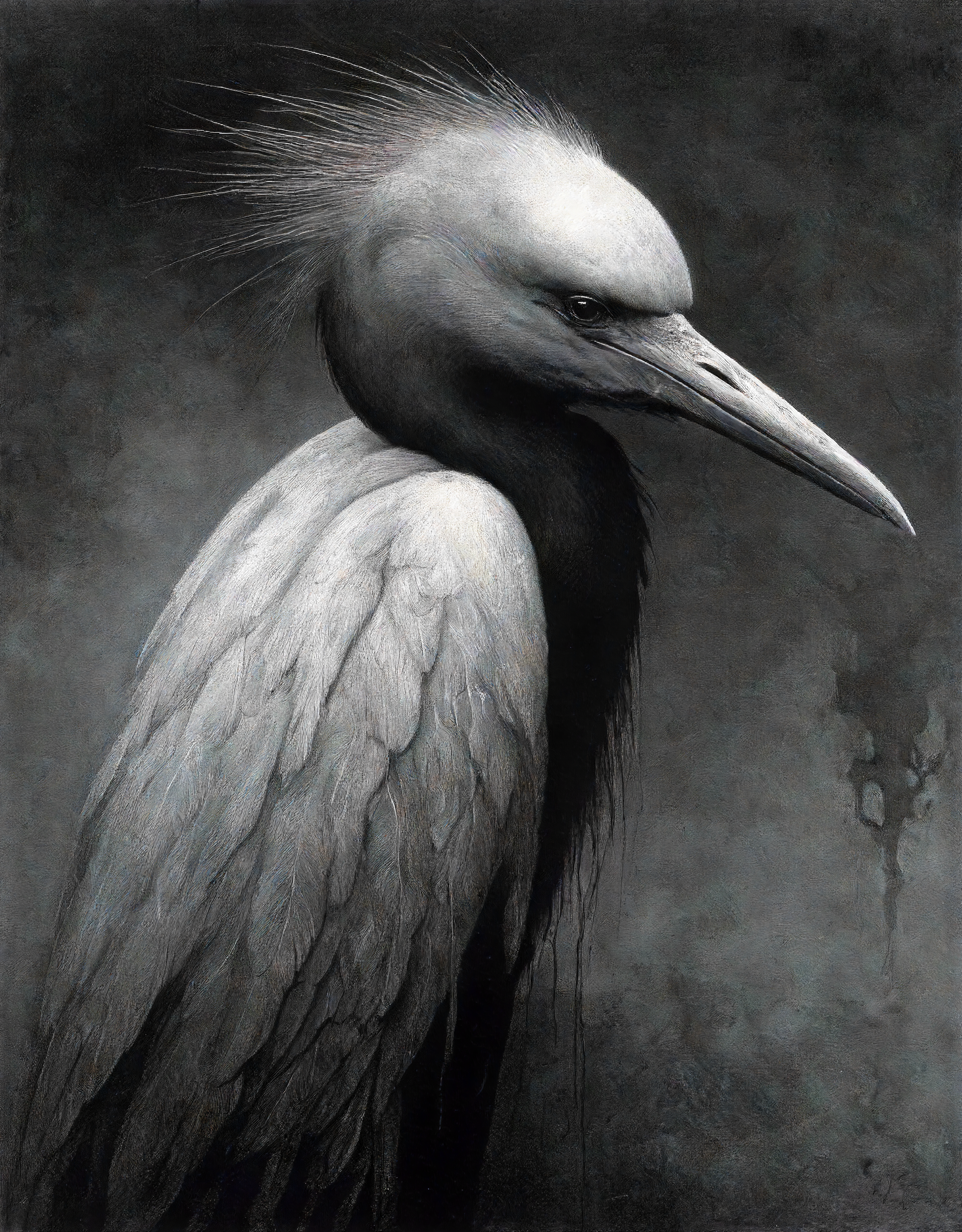 Постеры. Портретный фотограф