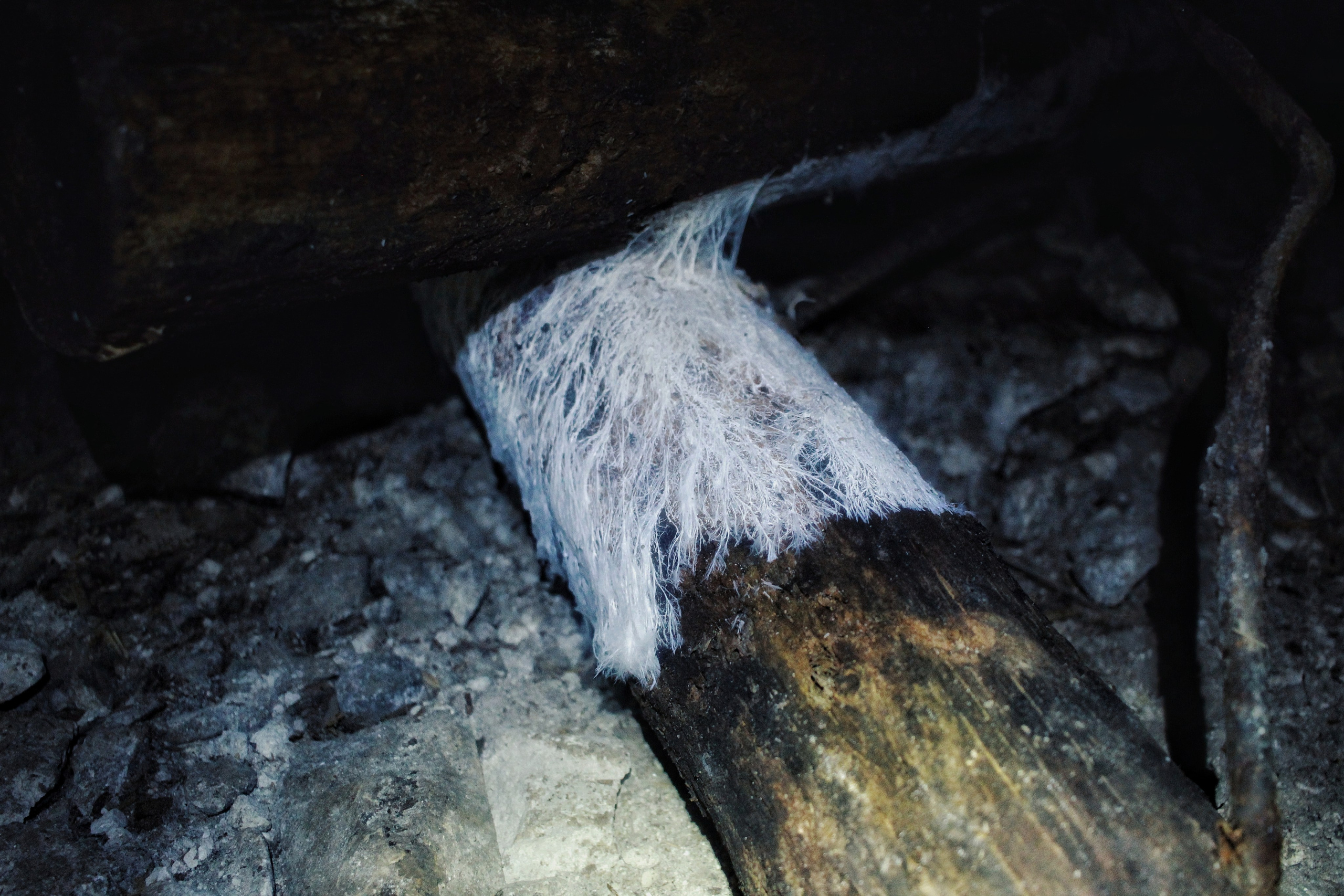 Исчезающие. Фотограф в Самаре Варвара Макарова