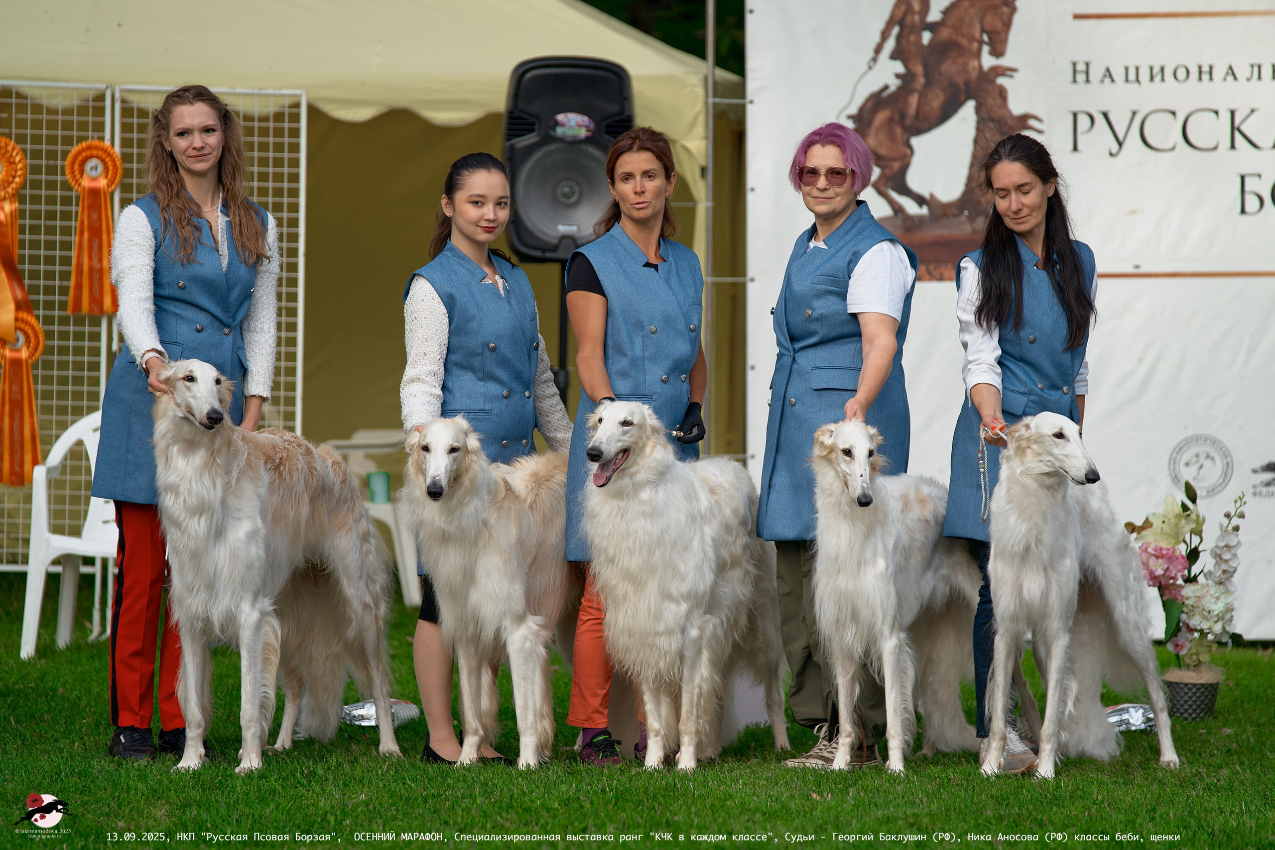 ОСЕННИЙ МАРАФОН | Специализированная выставка породы Русская Псовая Борзая ранг "КЧК в каждом классе"