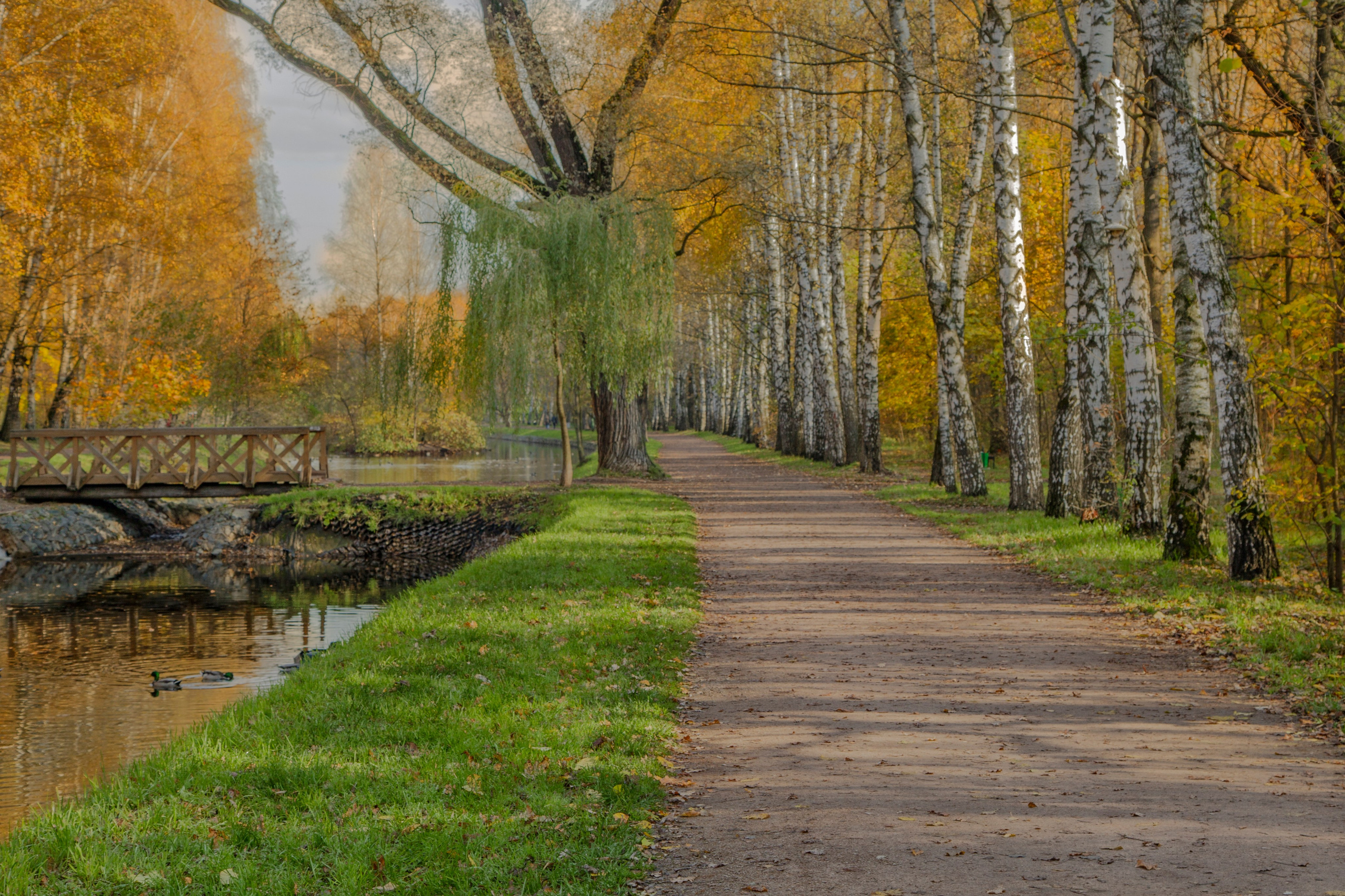Осень. Свадьбы, портретная, предметная съемка. Фотограф Александр К