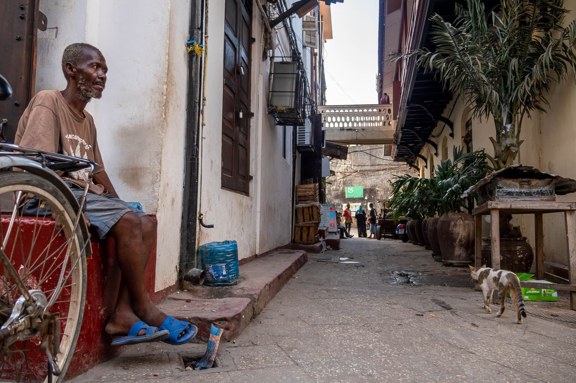 Остров Занзибар, г. Стоун Таун (Занзибар) Zanzibar Island, Stone Town (Zanzibar). Фотограф Алексей Скоробогатько