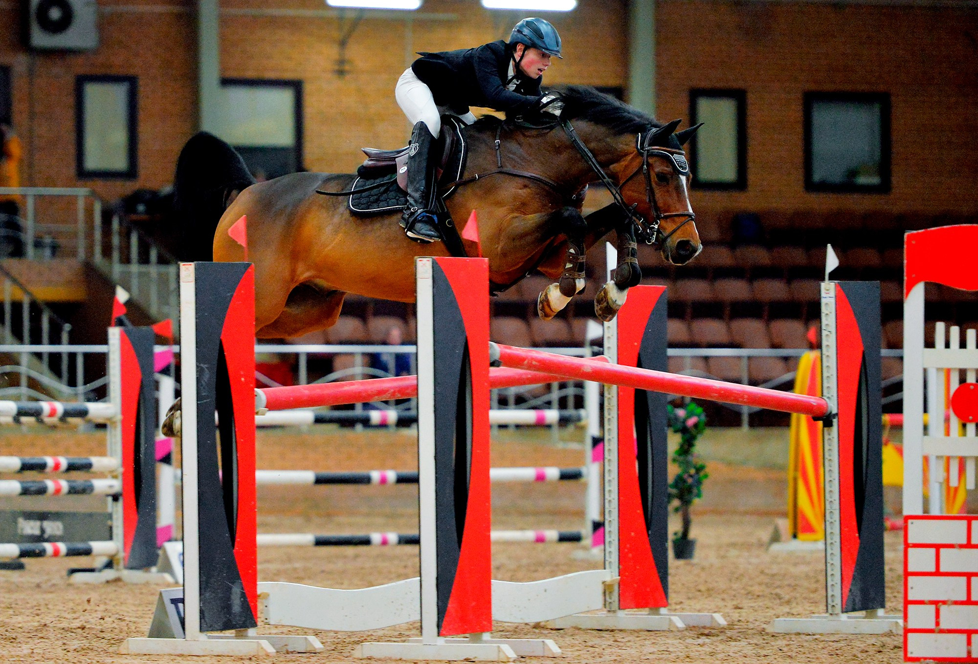 Конкур: кск «Дерби» 18 — 19.10.2025