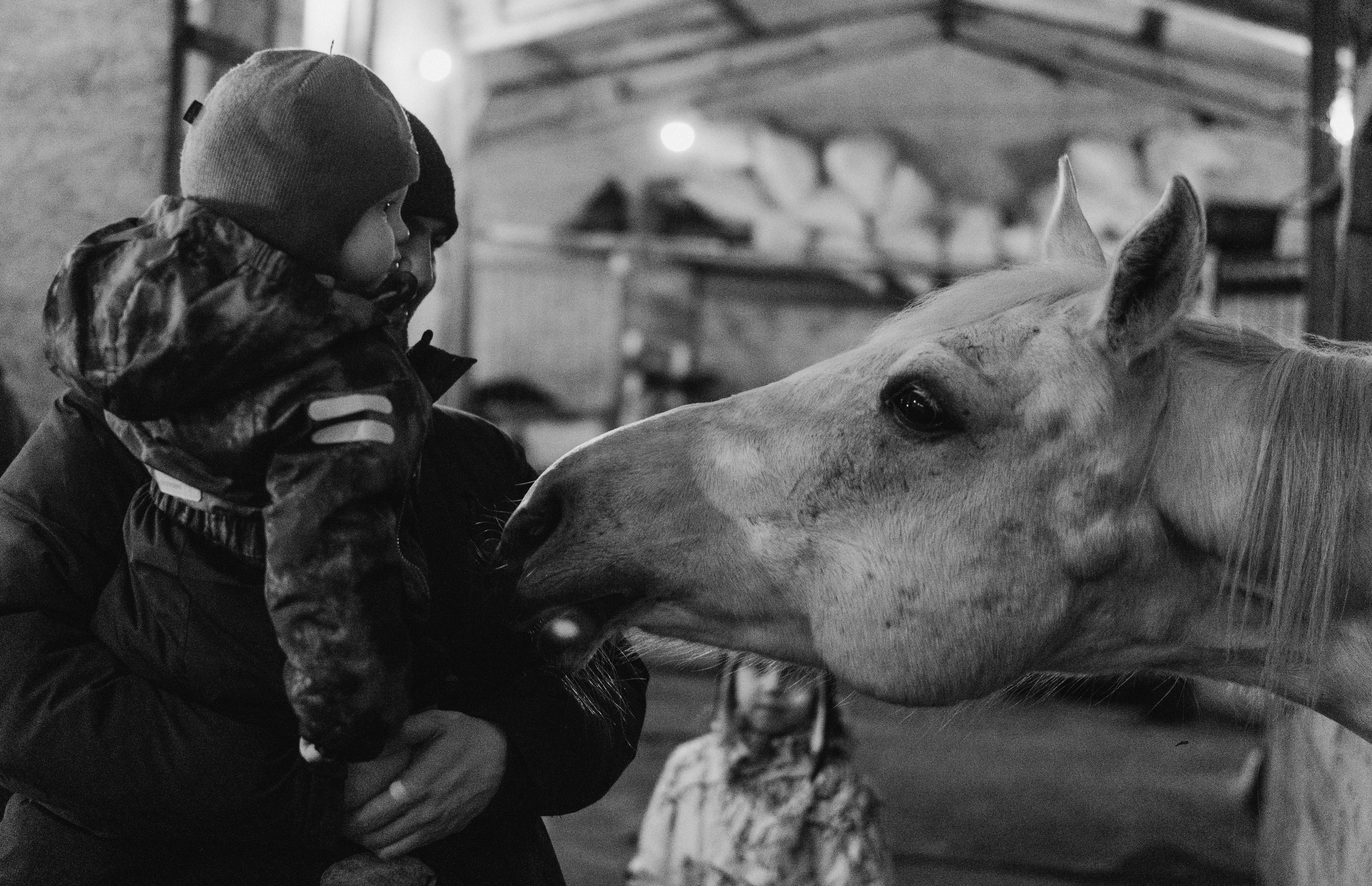 Выходной на конюшне. Семейный, ньюборн фотограф, фотограф на роды в Москве, Виктория Тюльдюкова