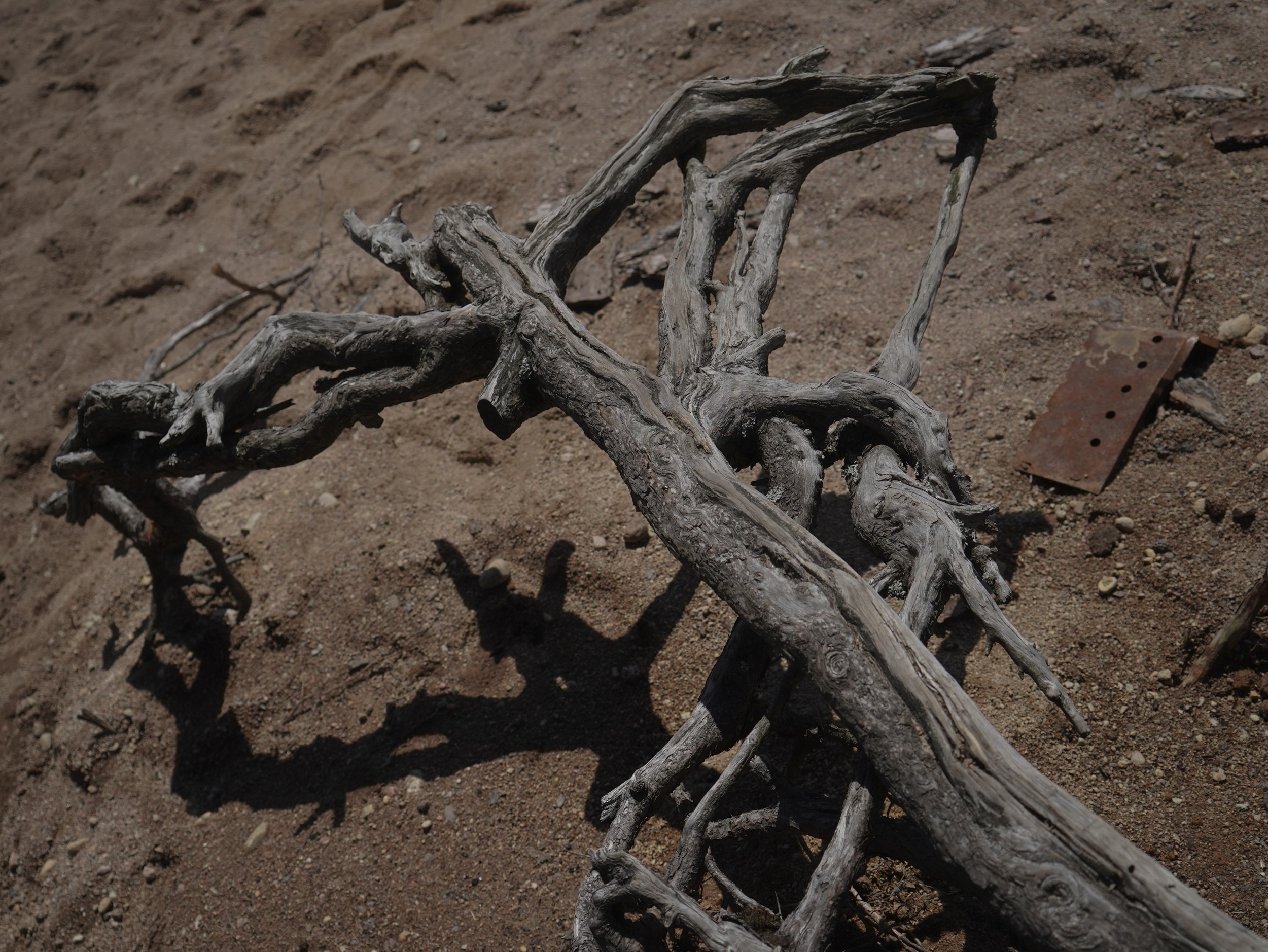 Смерть-гора (2025 — наст.вр). Главная