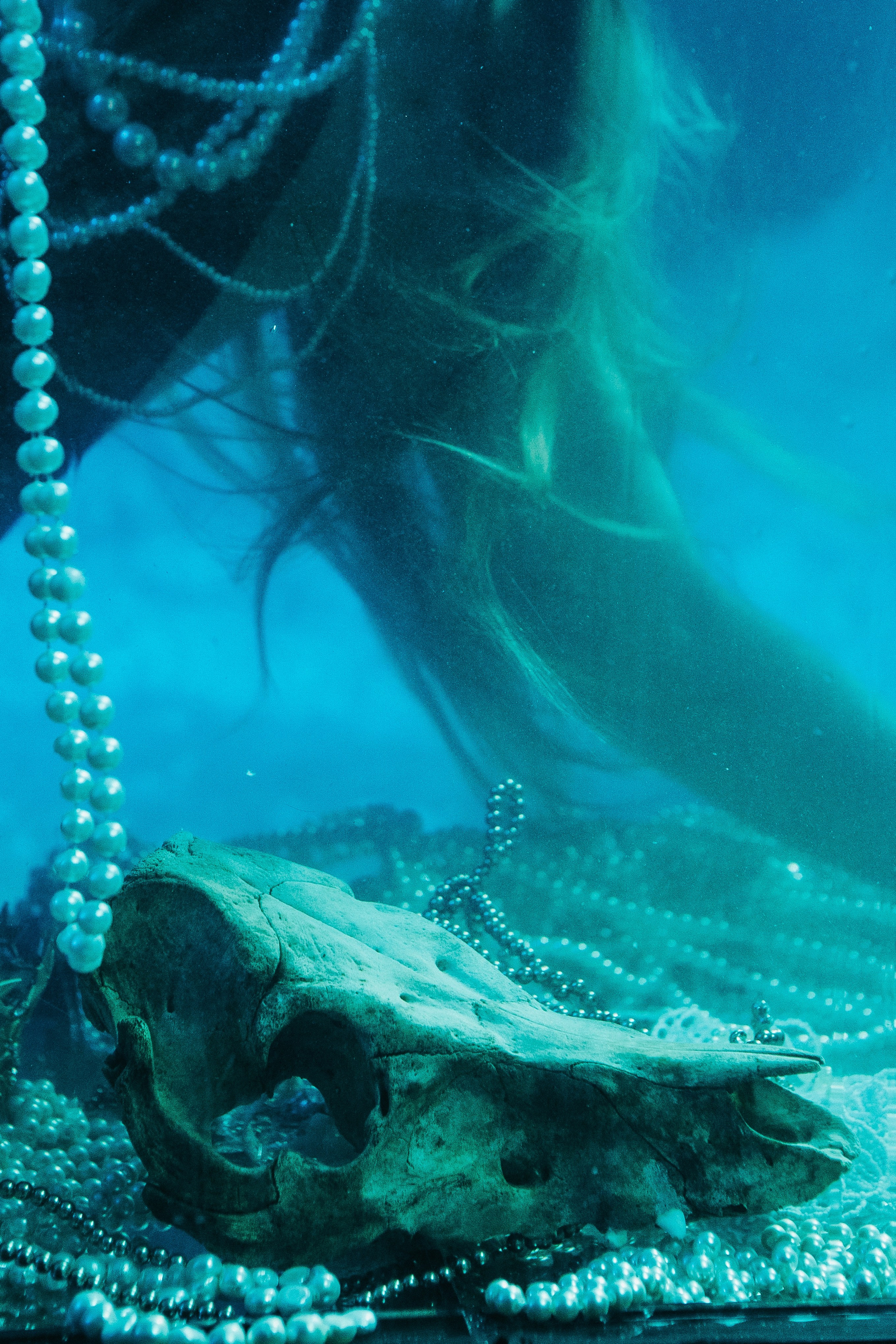 Запертая русалка. Allirubrum