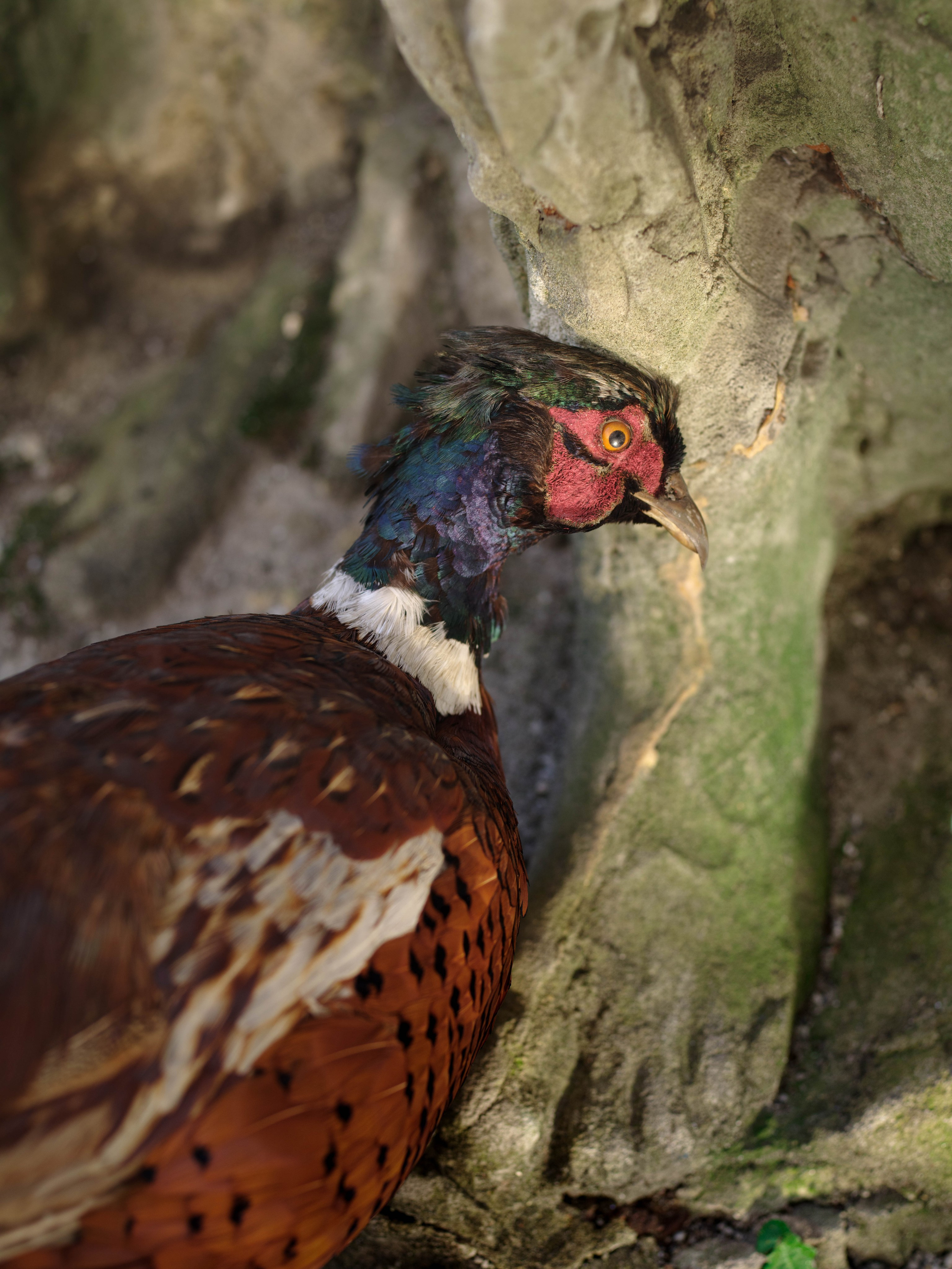 Antropocen (ongoing). Photographer, Documentary and Art