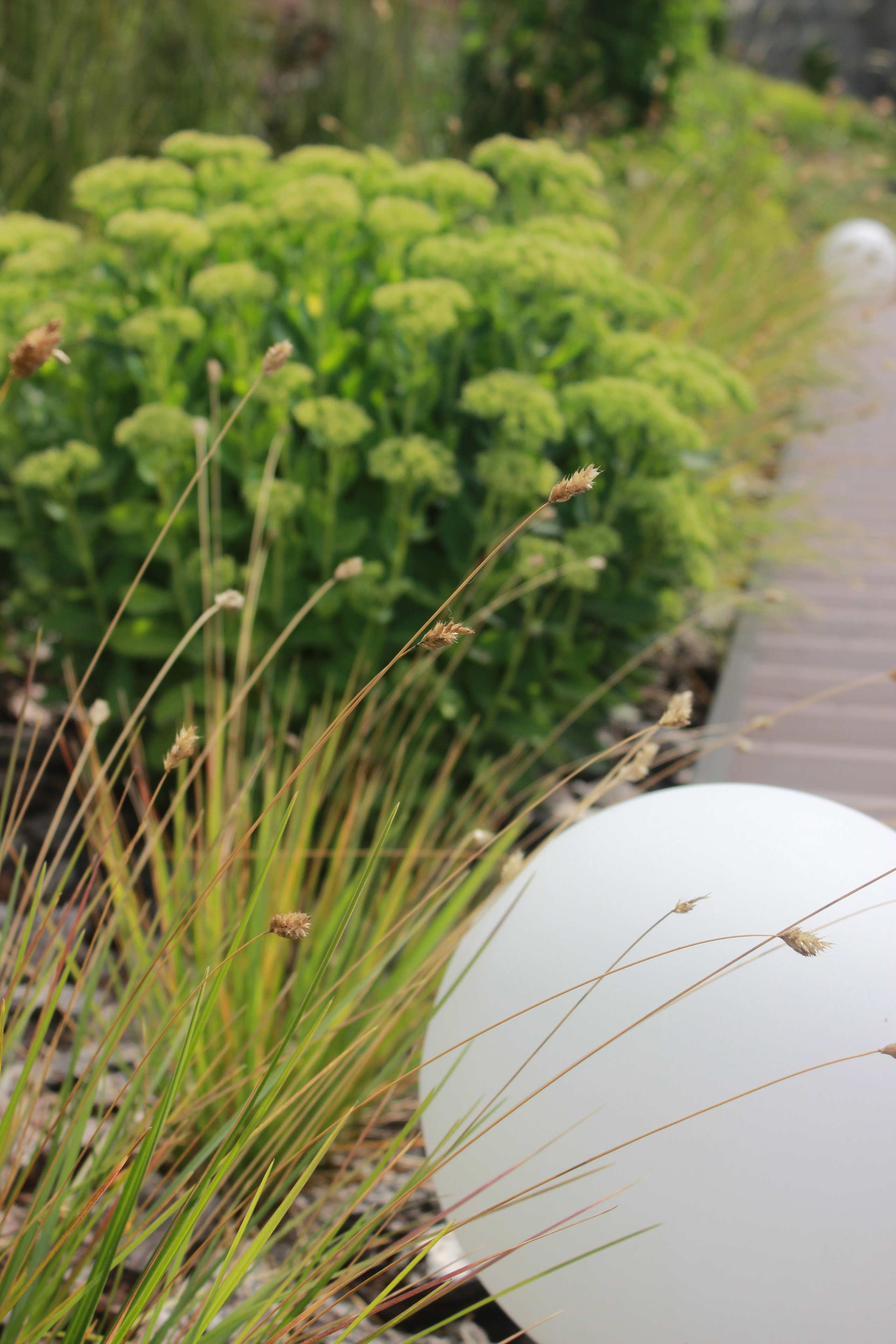 GARDEN IN S. LA. Ландшафтный дизайн в Минске и Гродно