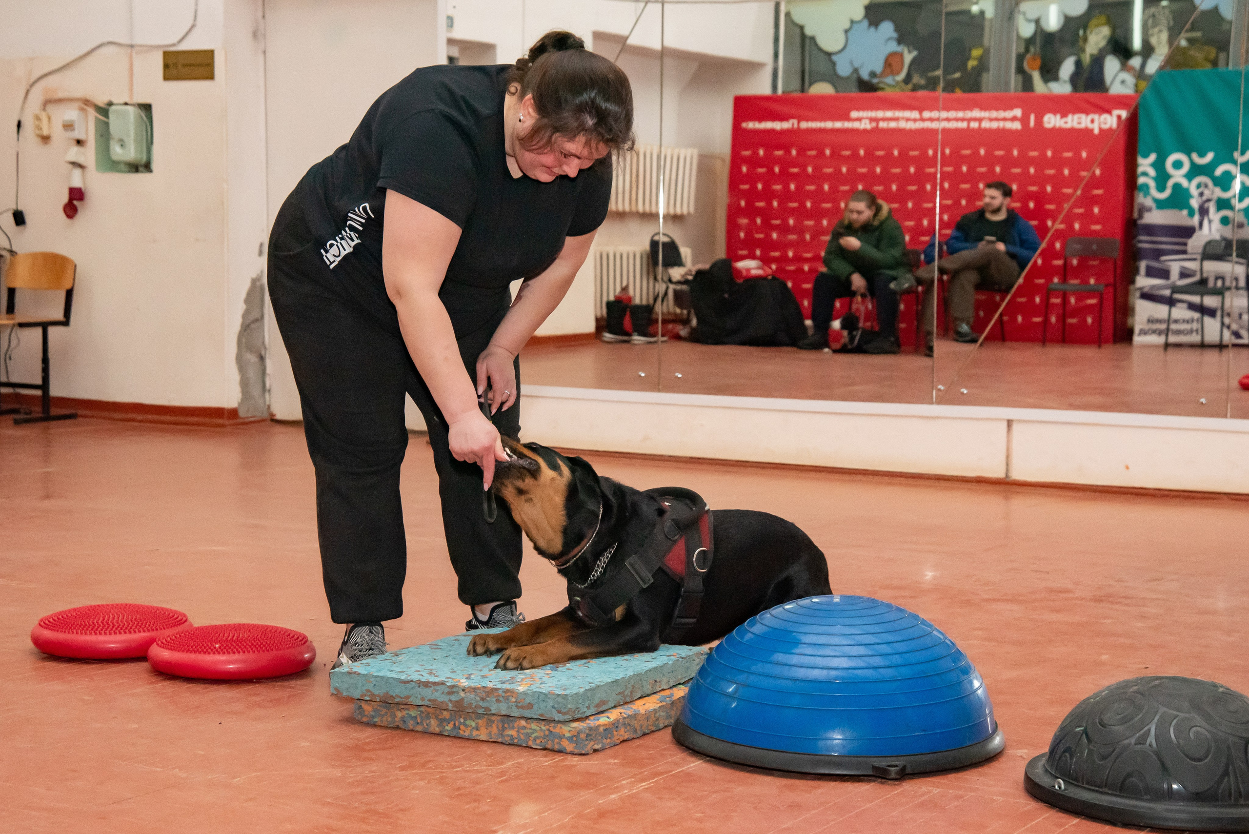 Фотосессии в кинологическом лагере. Фотограф Макс Огурцов в Нижнем Новгороде