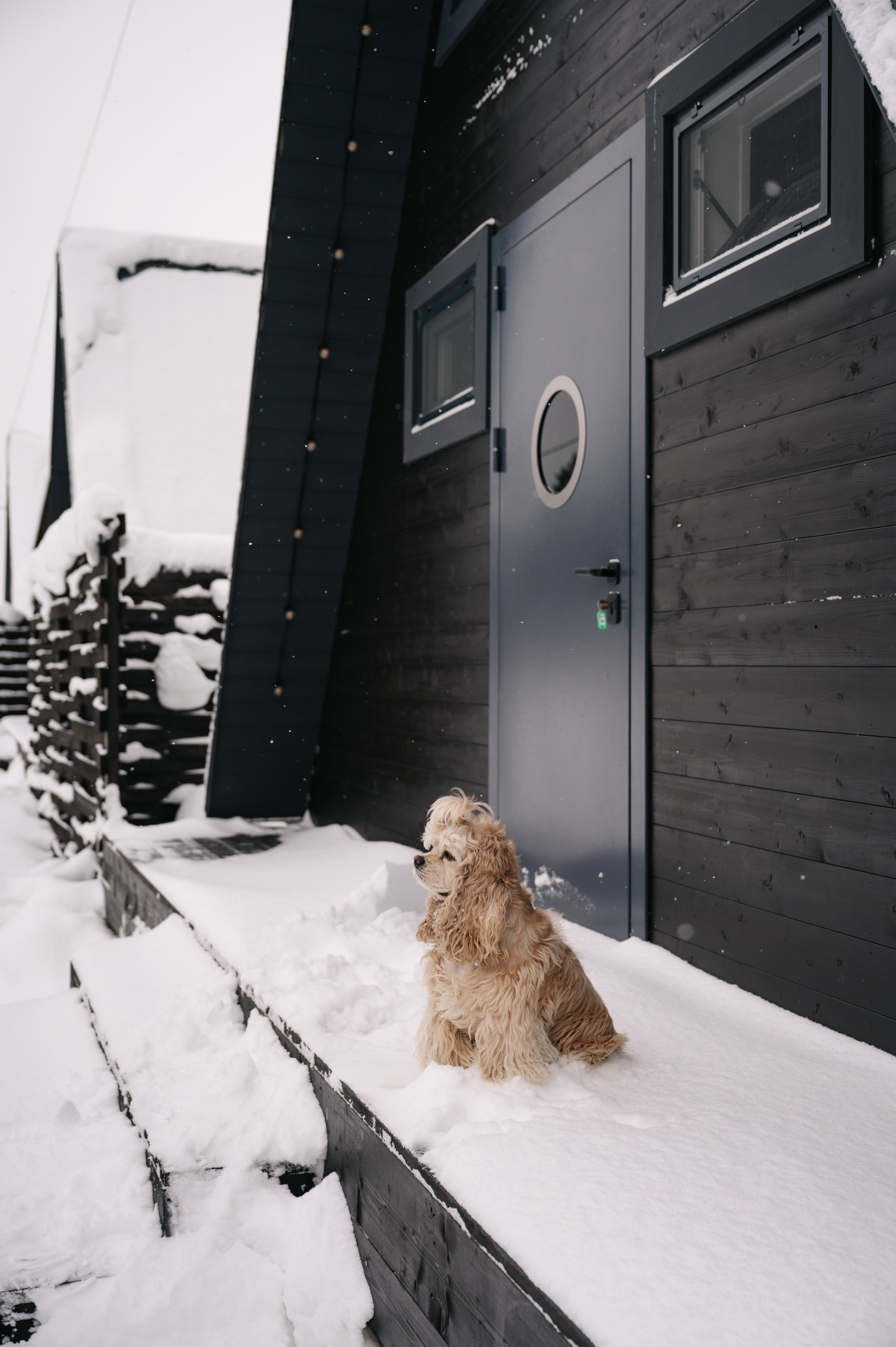 Фотосъемка для наполнения сайта загородного отеля Барин. Свадебный и семейный фотограф Виктория Носачёва. Щелково, Москва и МО