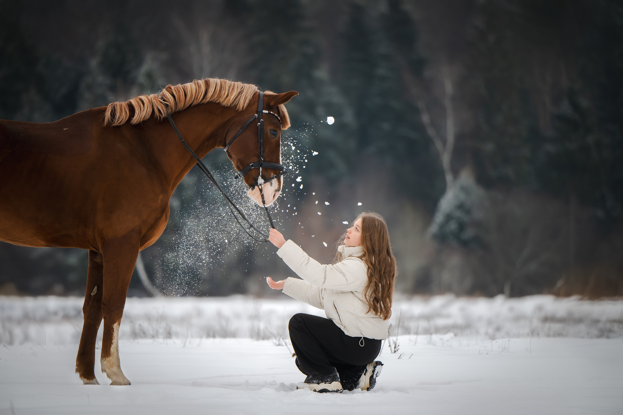 Фотограф Анималист в Москве Анастасия Жучкова