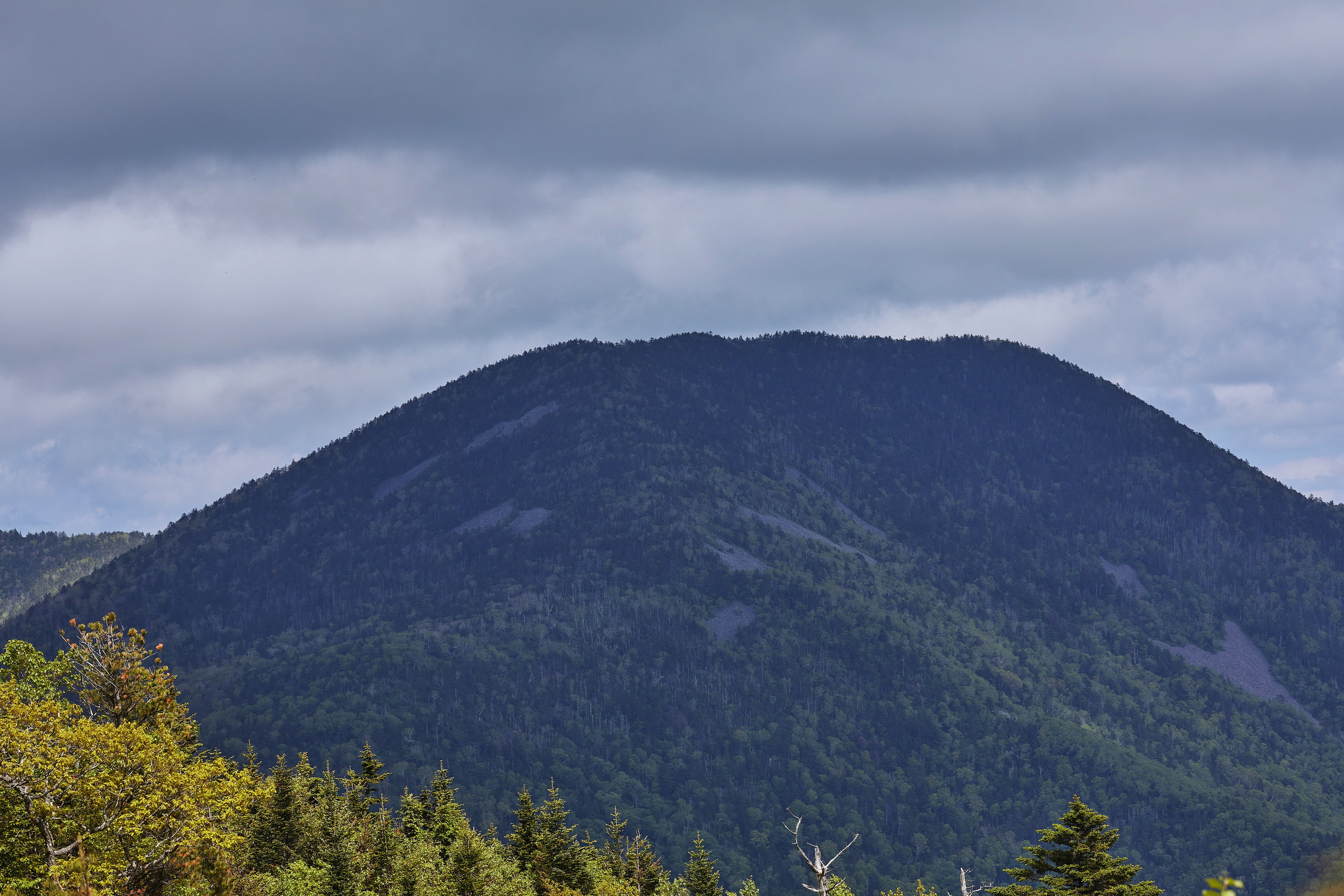 Одинокая сопка крупным планом