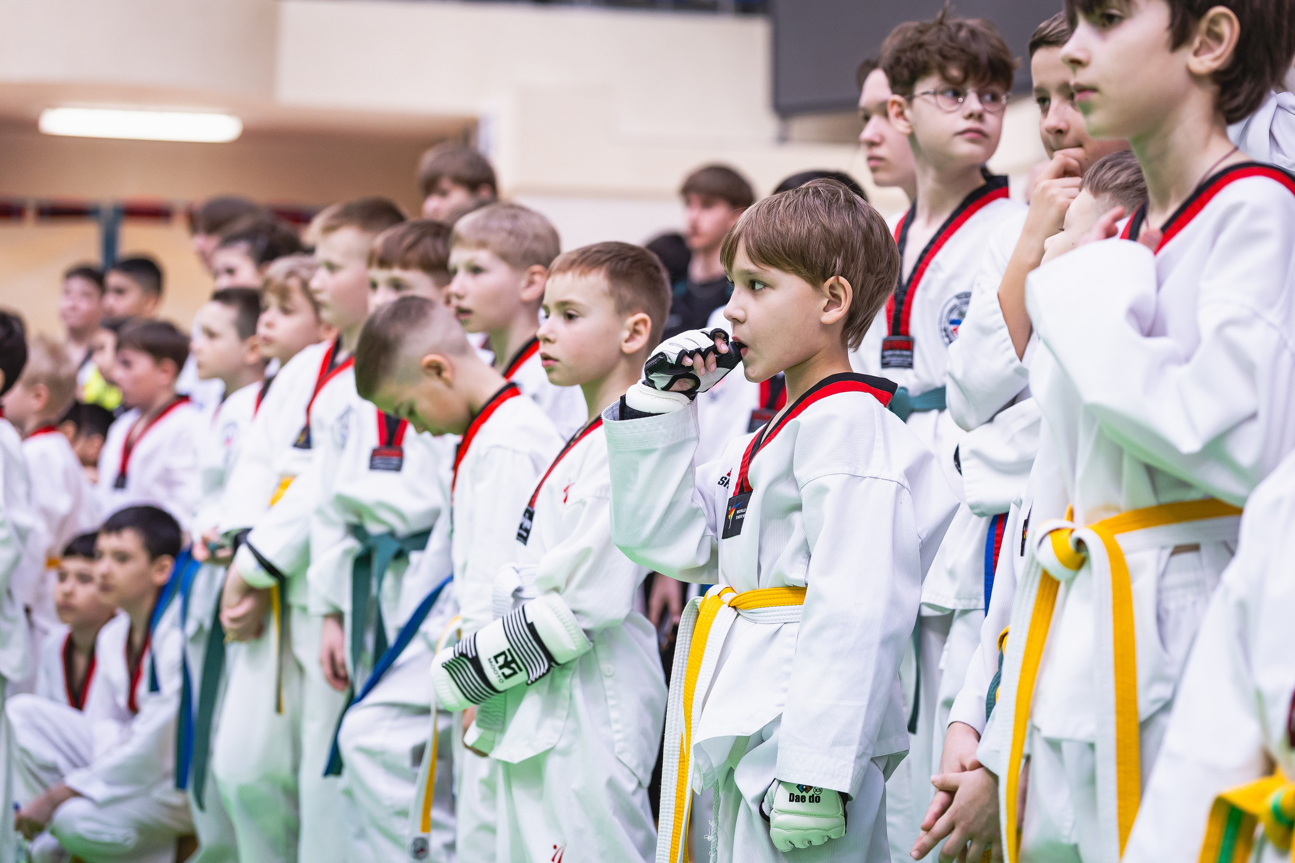 Турнир ВДЮФСОО «ФЕДЕРАЦИЯ ДЕТСКОГО ТХЭКВОНДО РОССИИ» и МОО СПКЕ «ЭРИДАН» по «СПОРТИВНОМУ БОЮ КЕРУГИ». Спортивный фотограф Максим Серегин
