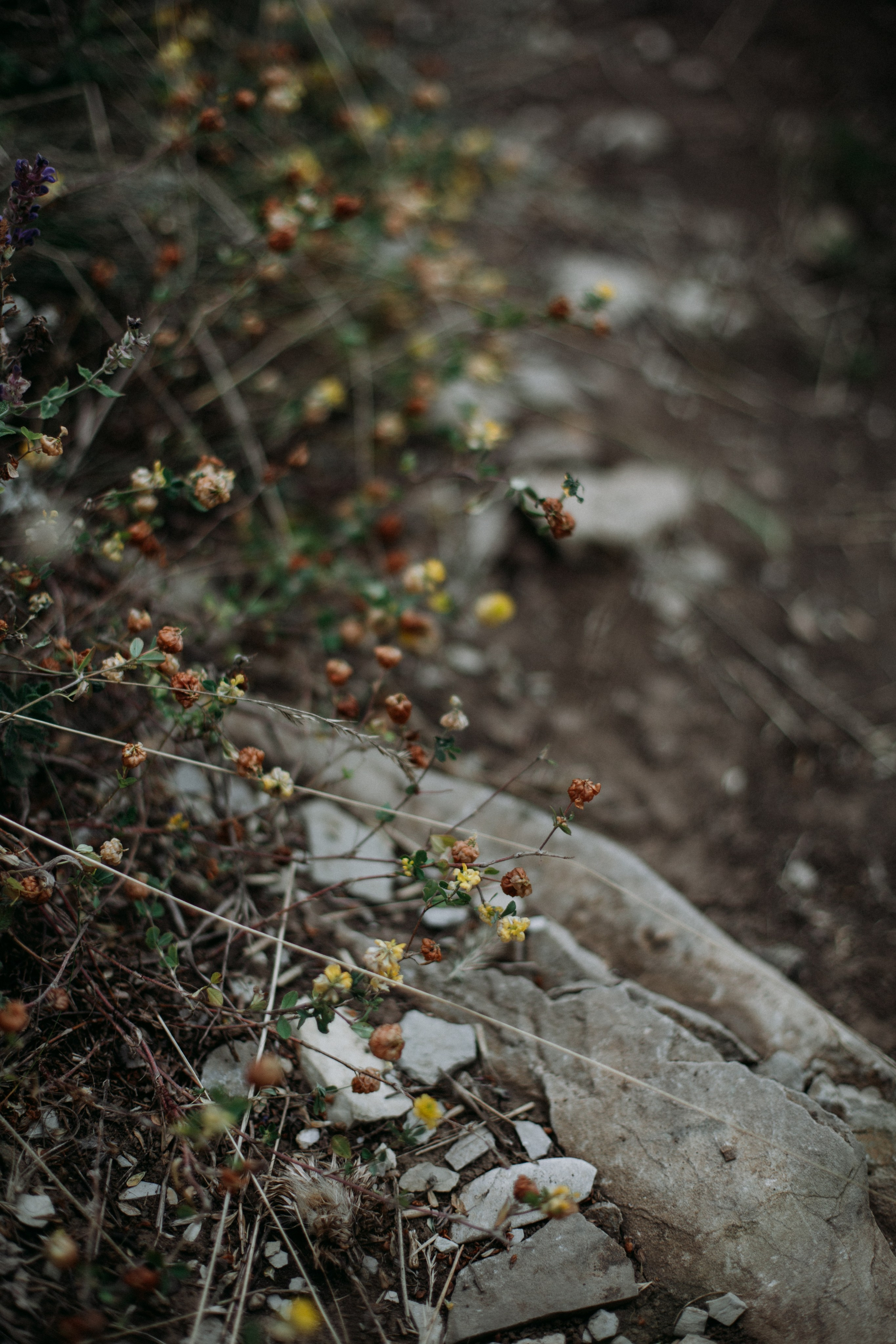 Дороги земли ветров. Портретный фотограф в Москве и Геленджике Кирилл Вахитов