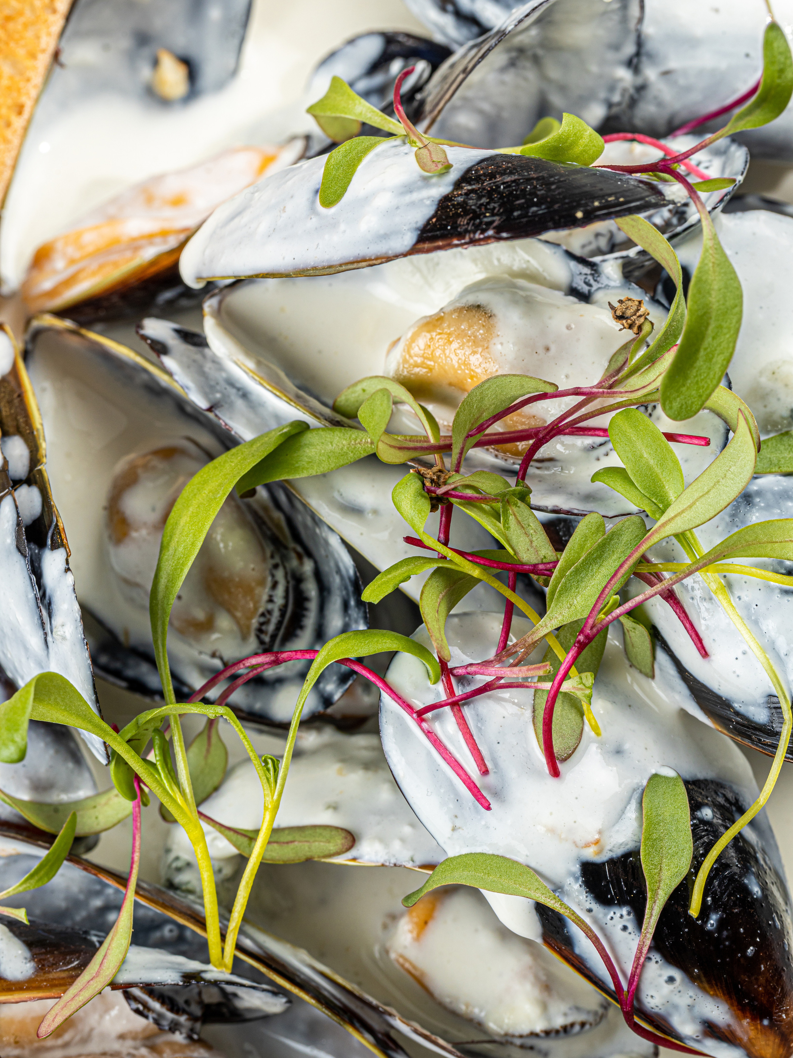 Фуд-фотограф в Ростове-на-Дону, Предметная съемка для маркетплейсов Алена Мозоль