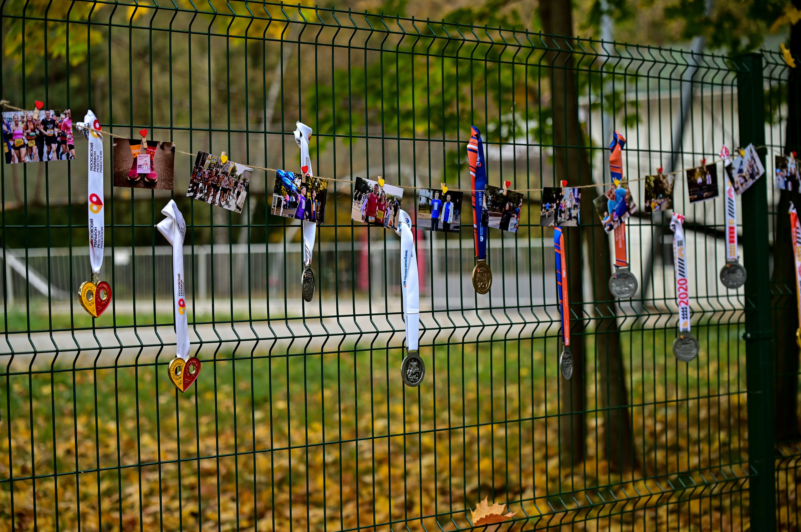 S95 Кузьминки Предмарафонский (12.10.24). Фотограф | Ирина Гамзинова | Москва