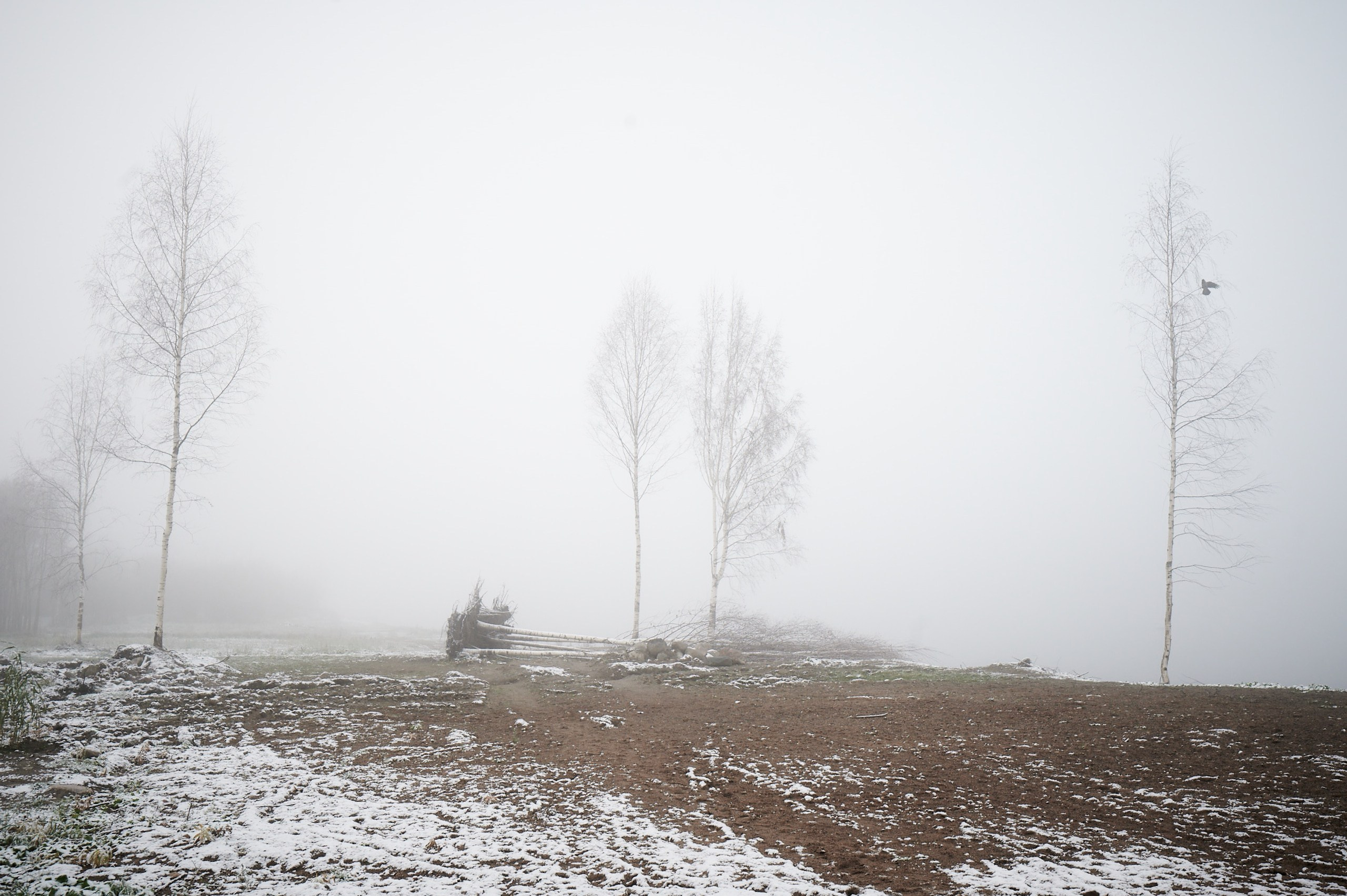 Серия фотографий. Irek Shamanaev. Visual artist