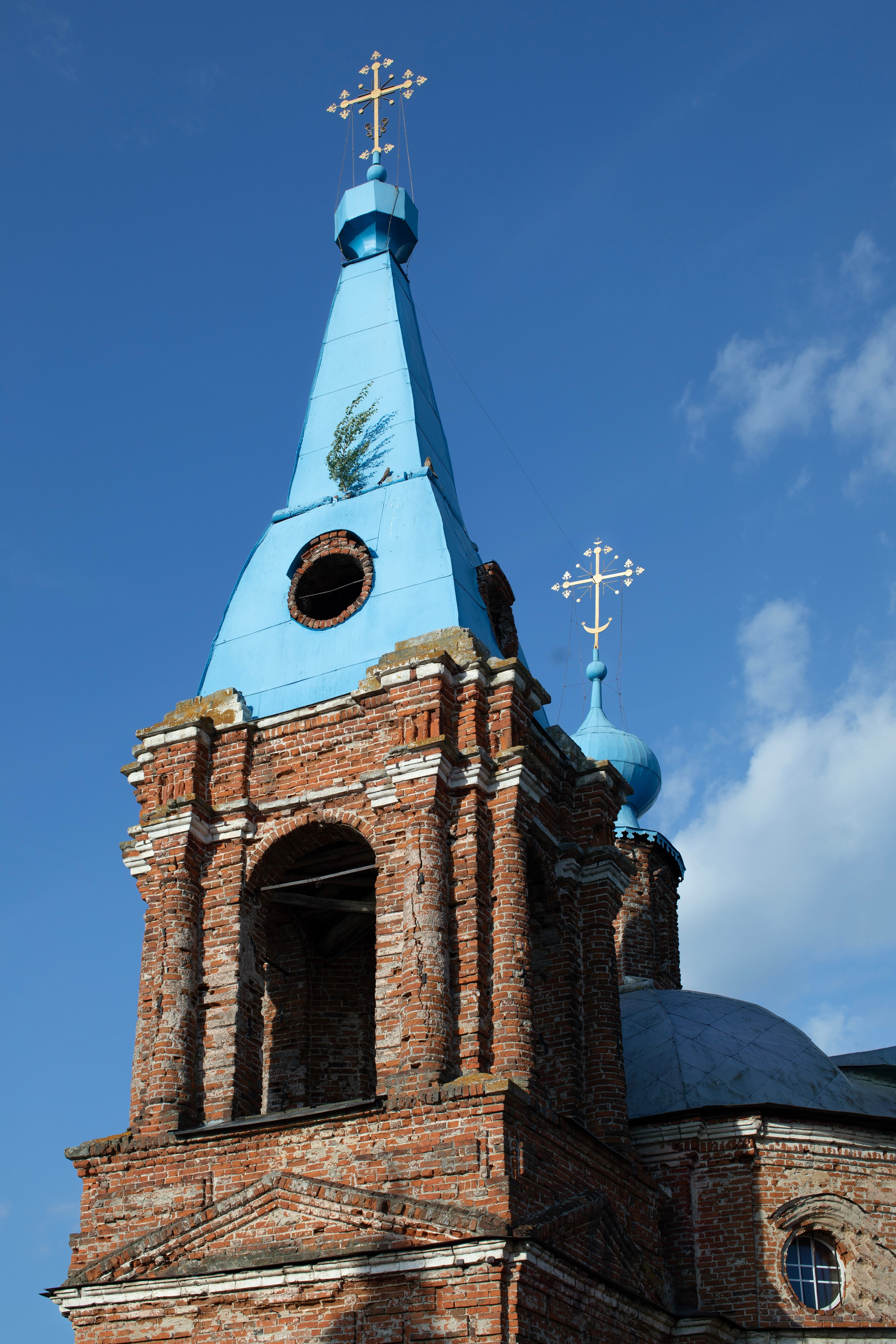 Рязань'25. Фотограф-портретист в Москве