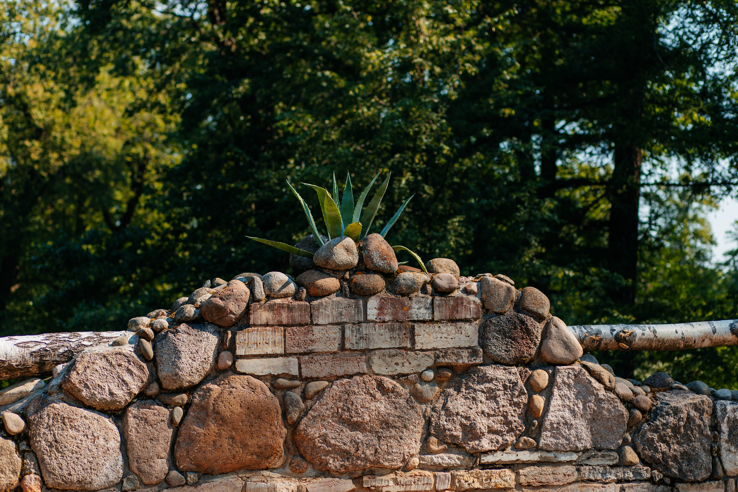 ФОТОСЕССИЯ В ПЕТЕРГОФЕ. ГДЕ СНИМАТЬ В ПЕТЕРГОФЕ