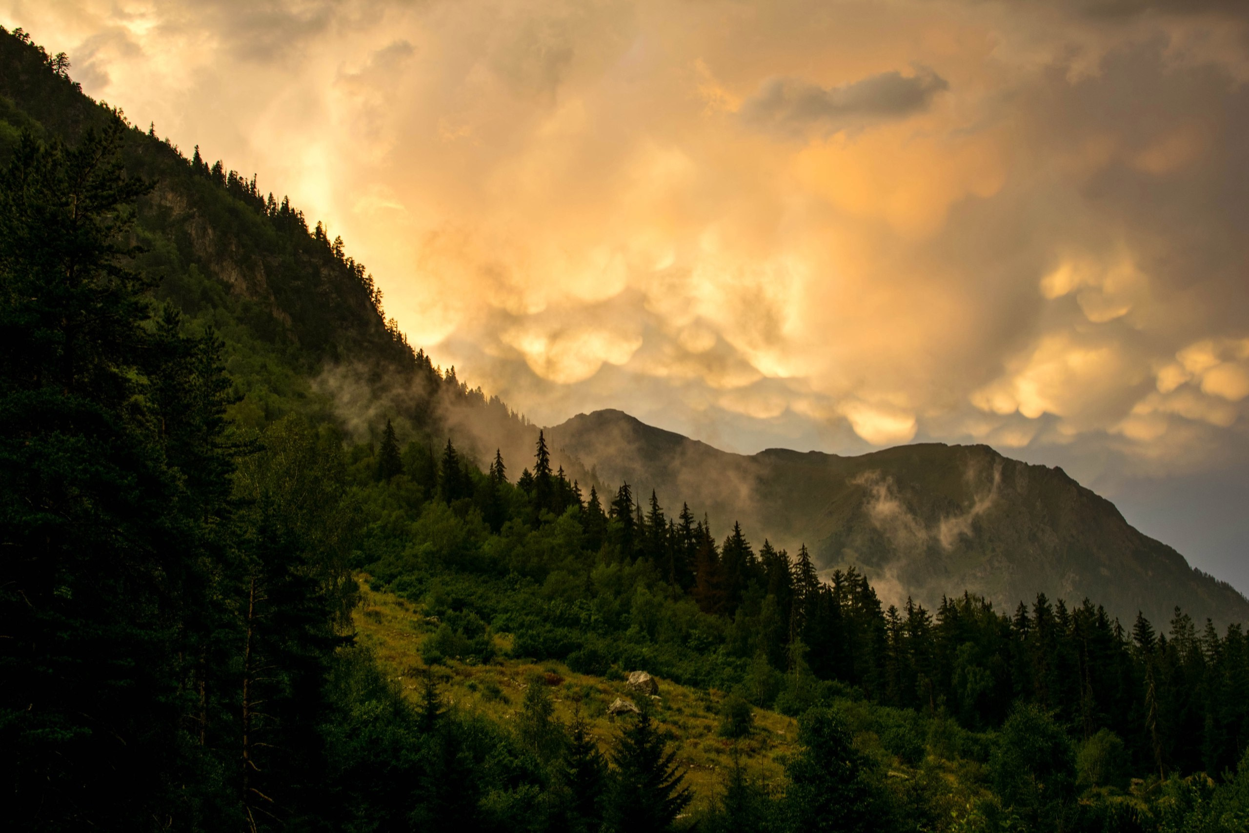 Фотограф КМВ|ГОРЫ Пятигорск Железноводск Ессентуки Кисловодск Домбай Архыз Эльбрус