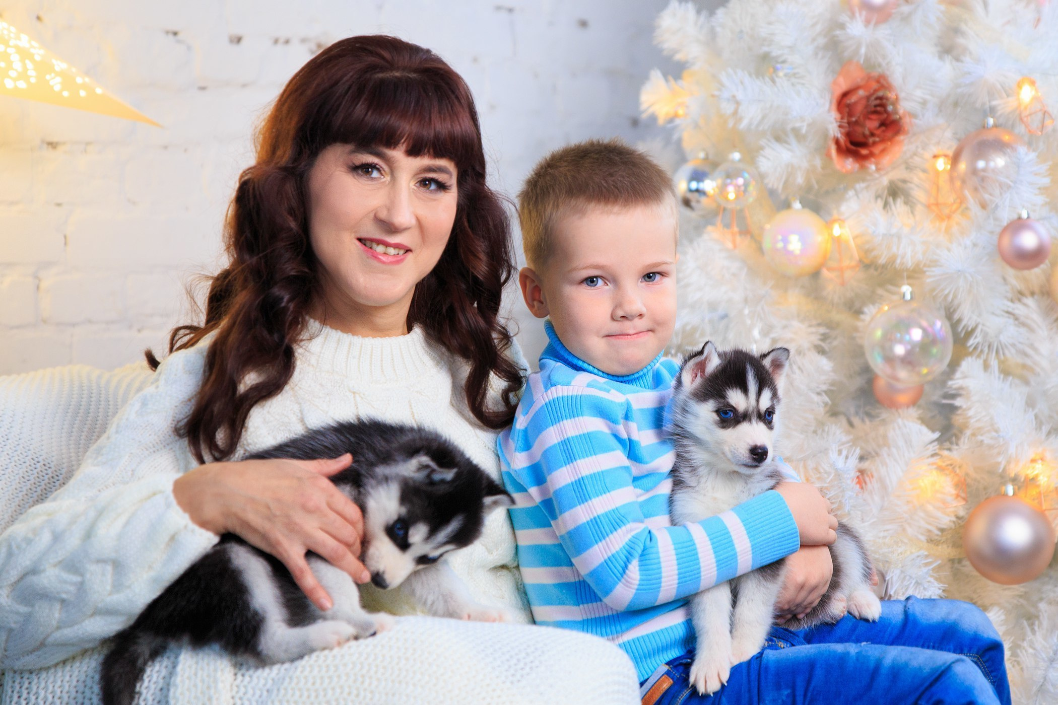 Хаски #1. Фотограф Ижевск Филипп Усков