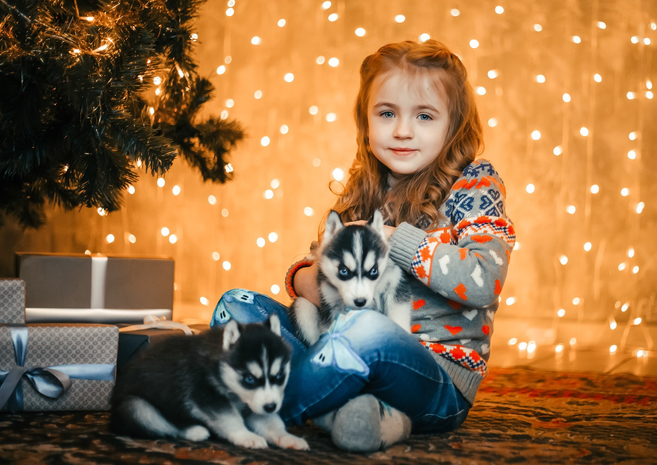 Хаски #1. Фотограф Ижевск Филипп Усков