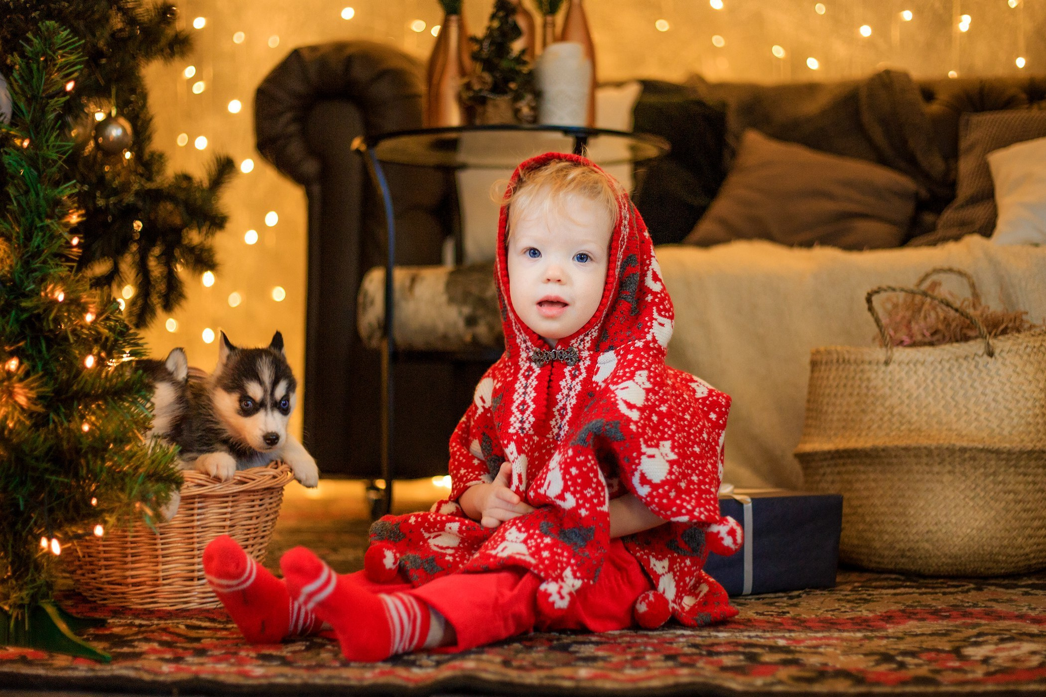 Хаски #1. Фотограф Ижевск Филипп Усков