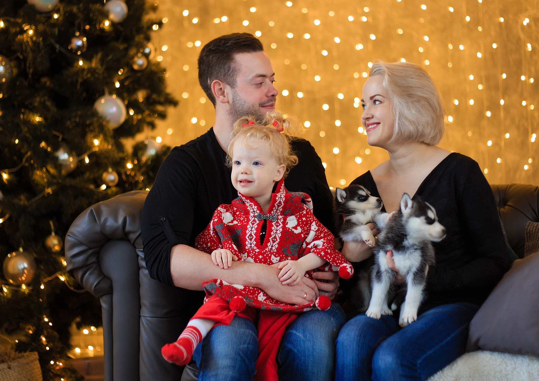 Хаски #1. Фотограф Ижевск Филипп Усков