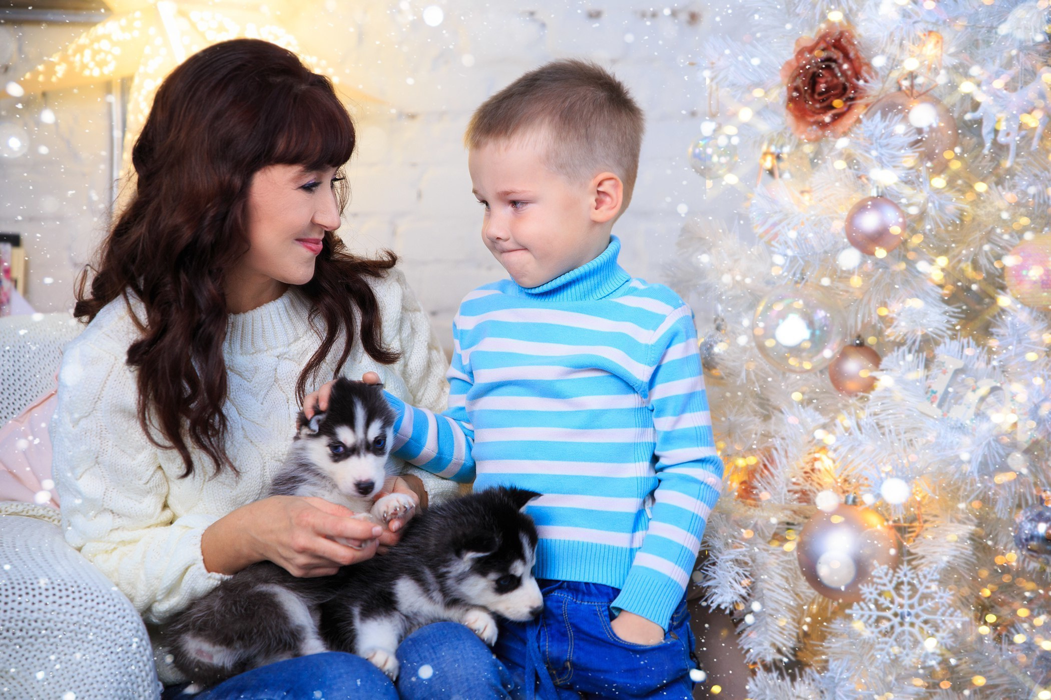 Хаски #1. Фотограф Ижевск Филипп Усков