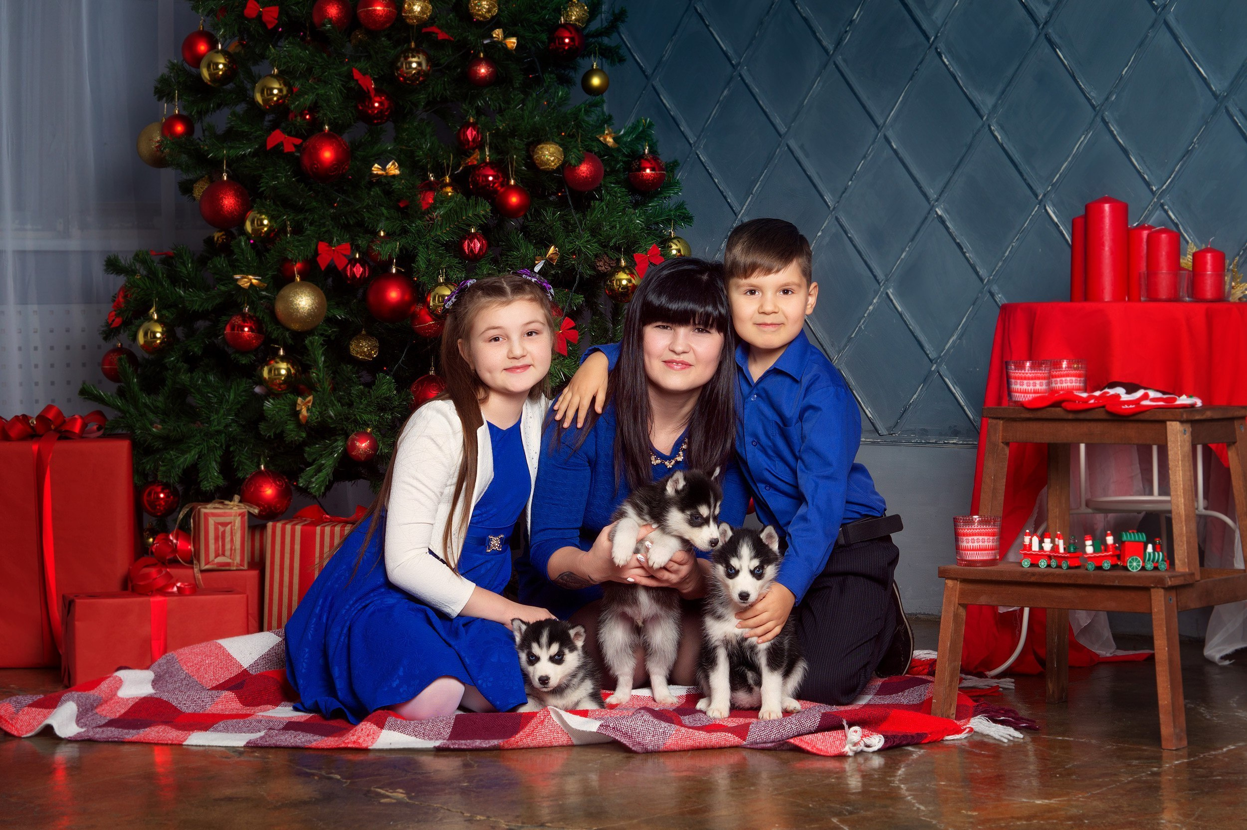 Хаски #1. Фотограф Ижевск Филипп Усков