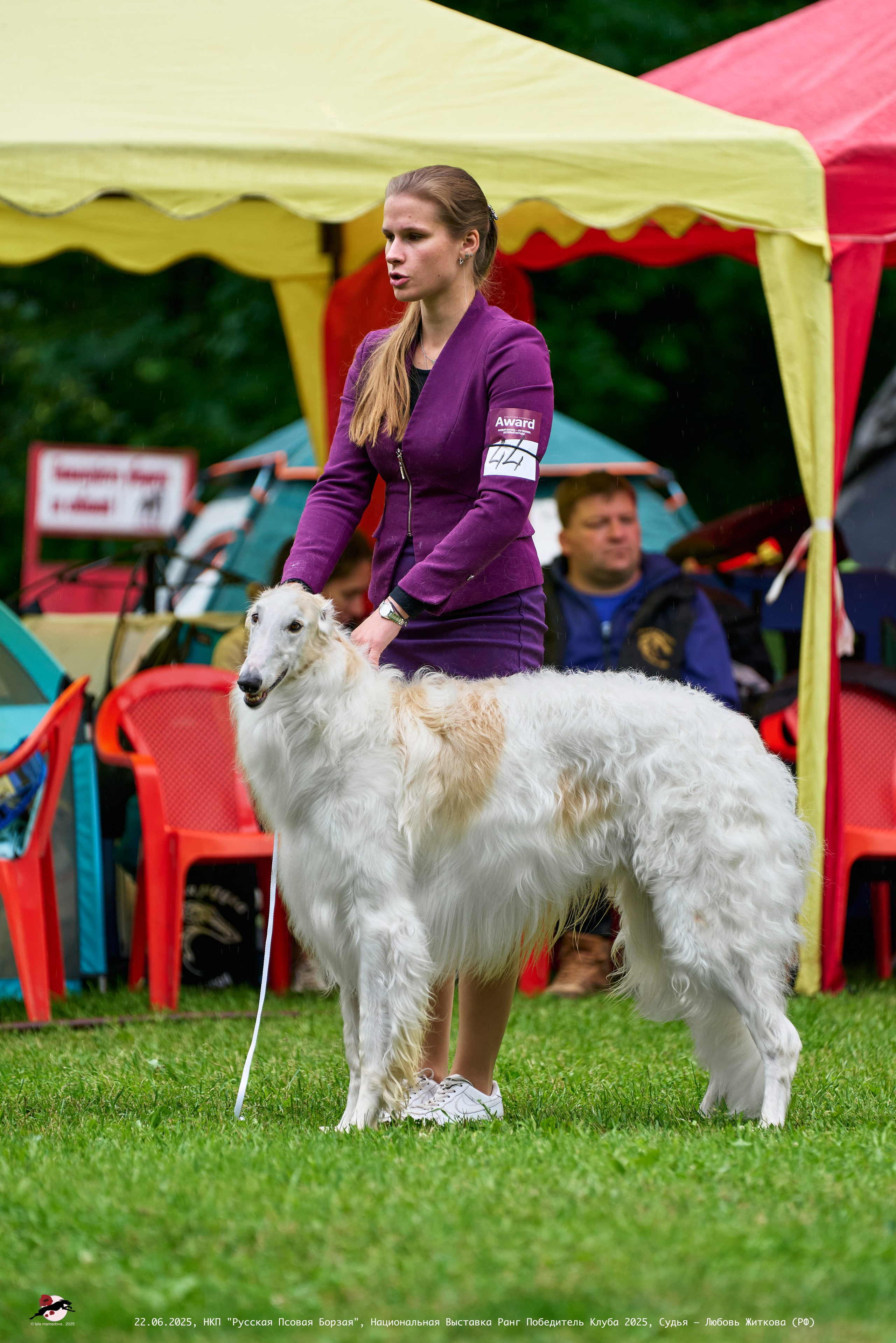 22.06.2025 | Национальная Выставка НКП "Русская Псовая Борзая"