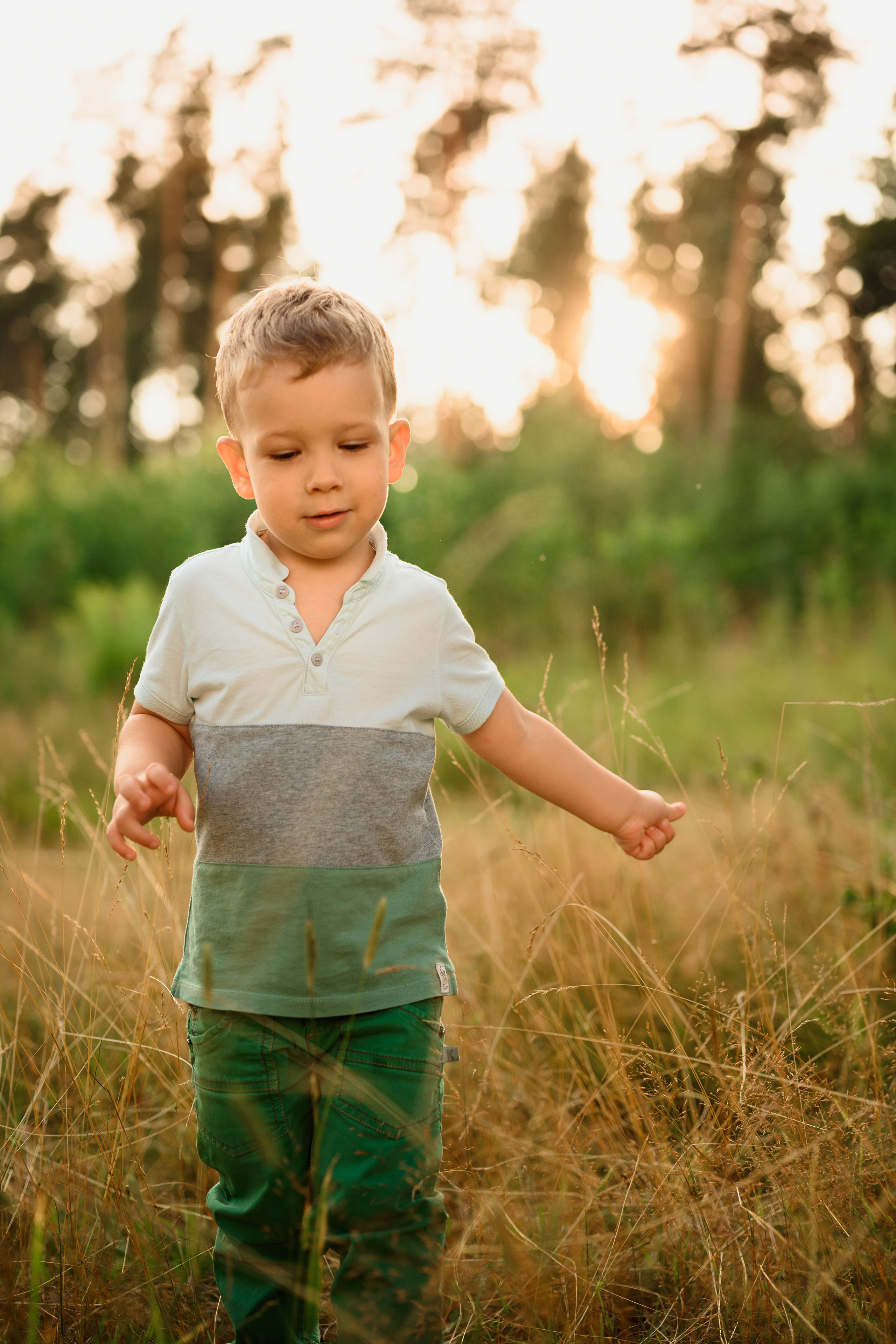 Семейная фотосессия в поле. Фотограф в Белграде Чугреева Елена