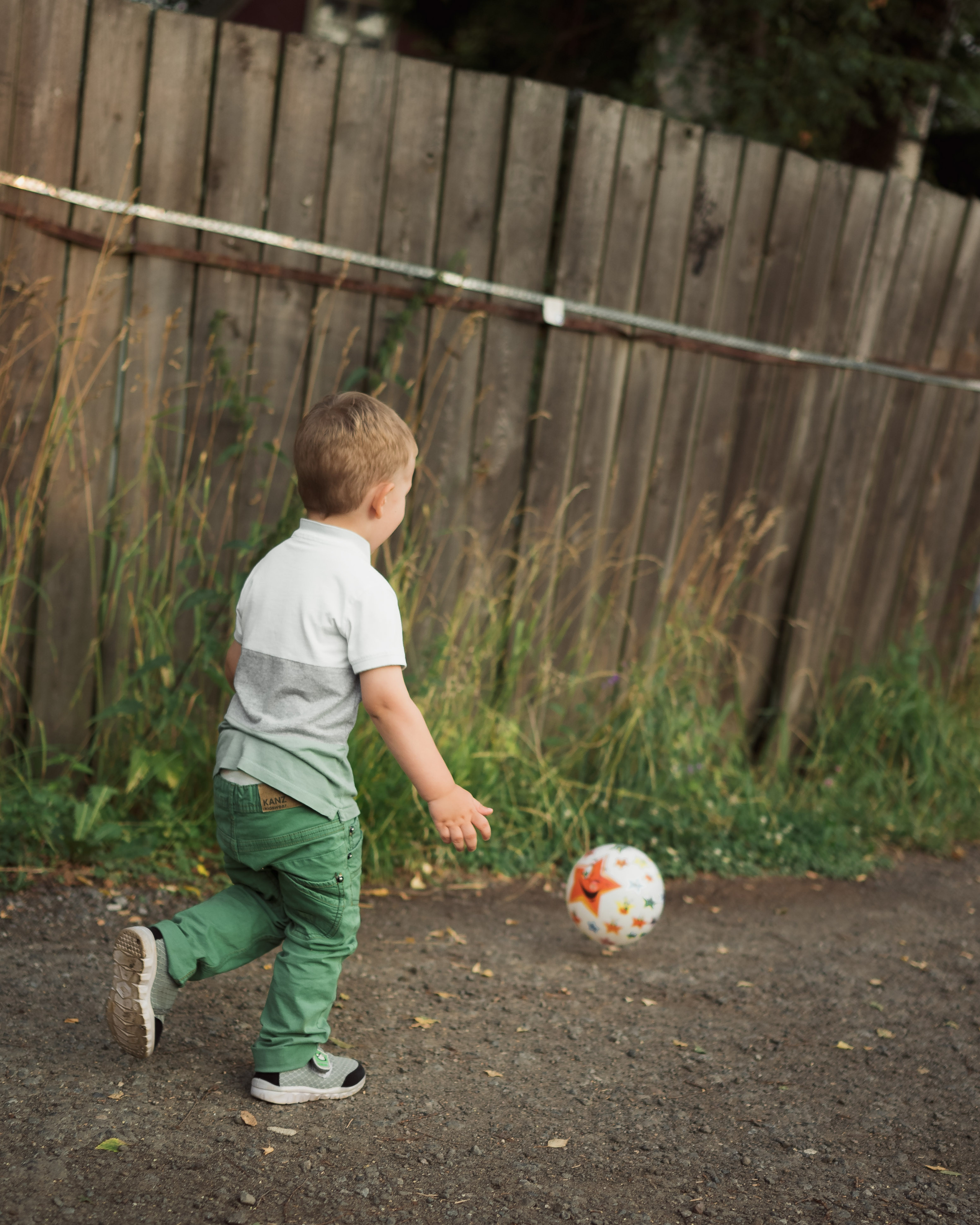Семейная фотосессия в поле. Фотограф в Белграде Чугреева Елена