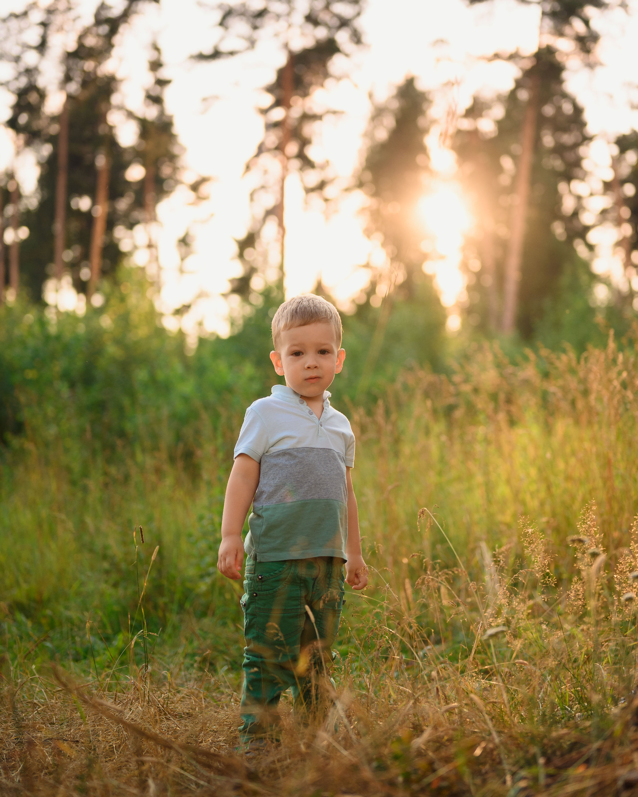 Семейная фотосессия в поле. Фотограф в Белграде Чугреева Елена