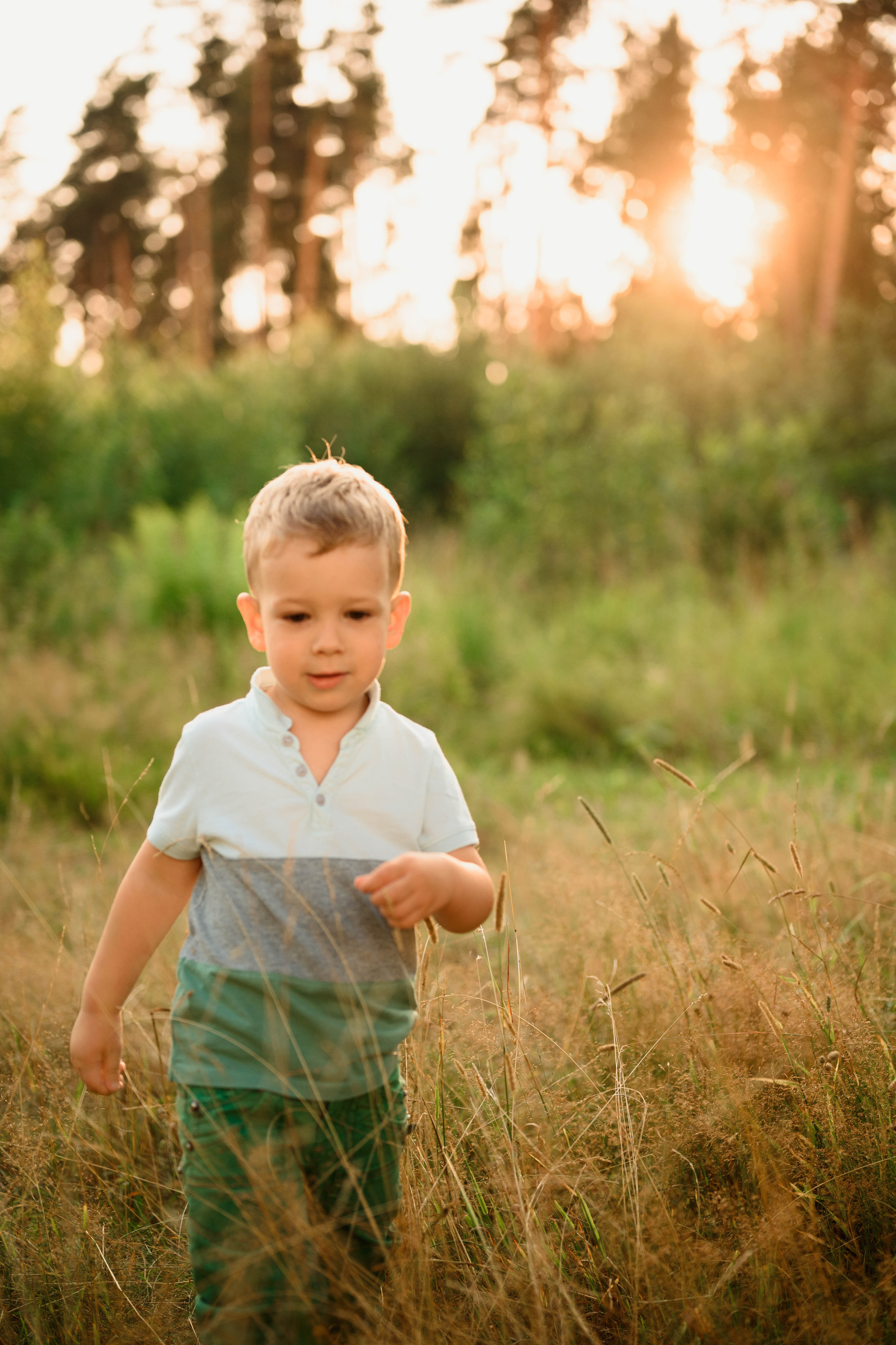 Семейная фотосессия в поле. Фотограф в Белграде Чугреева Елена