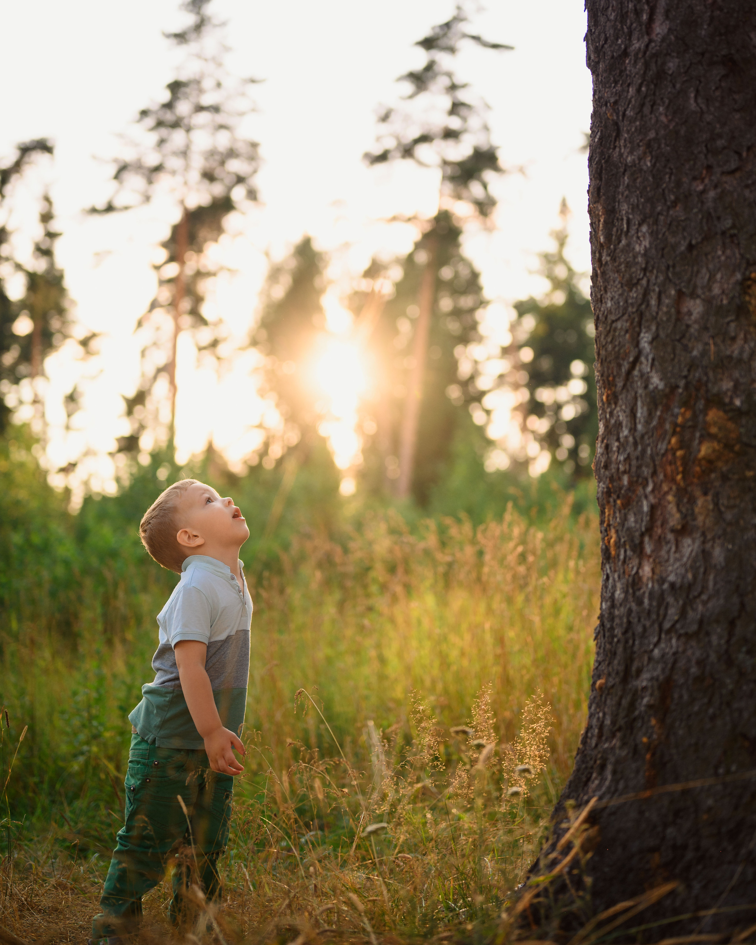 Семейная фотосессия в поле. Фотограф в Белграде Чугреева Елена