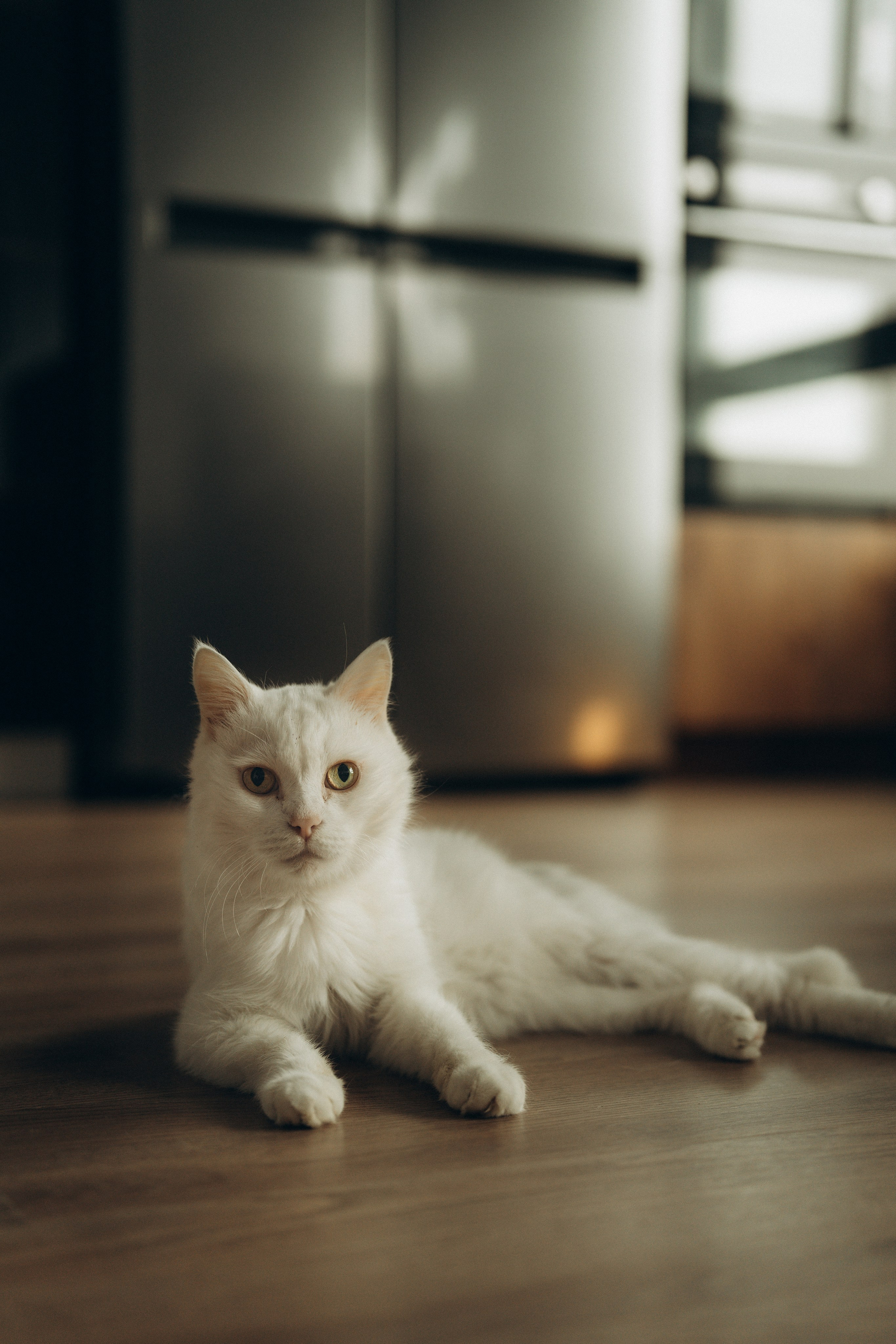 30.11.2024. Елизавета Шумик Семейный Фотограф